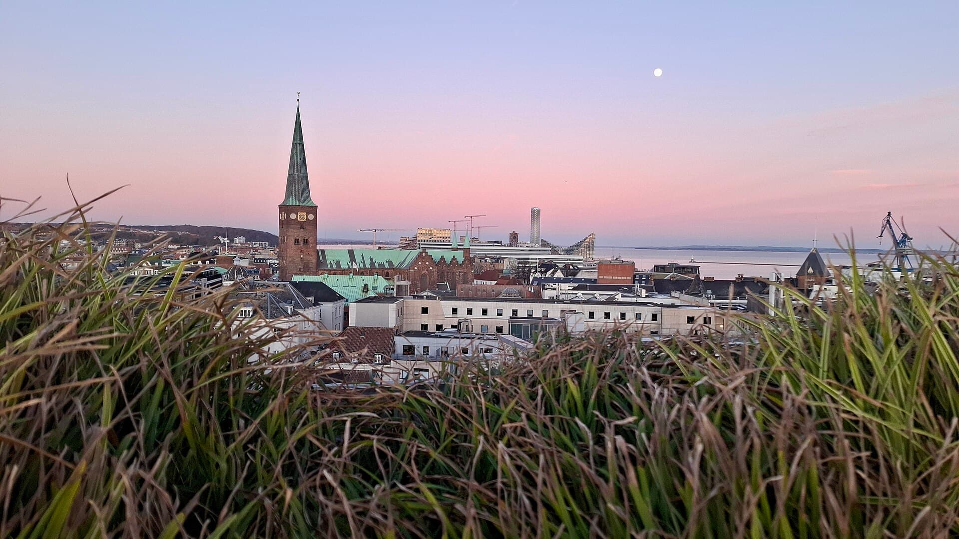 Aarhus Cathedral, Aarhus