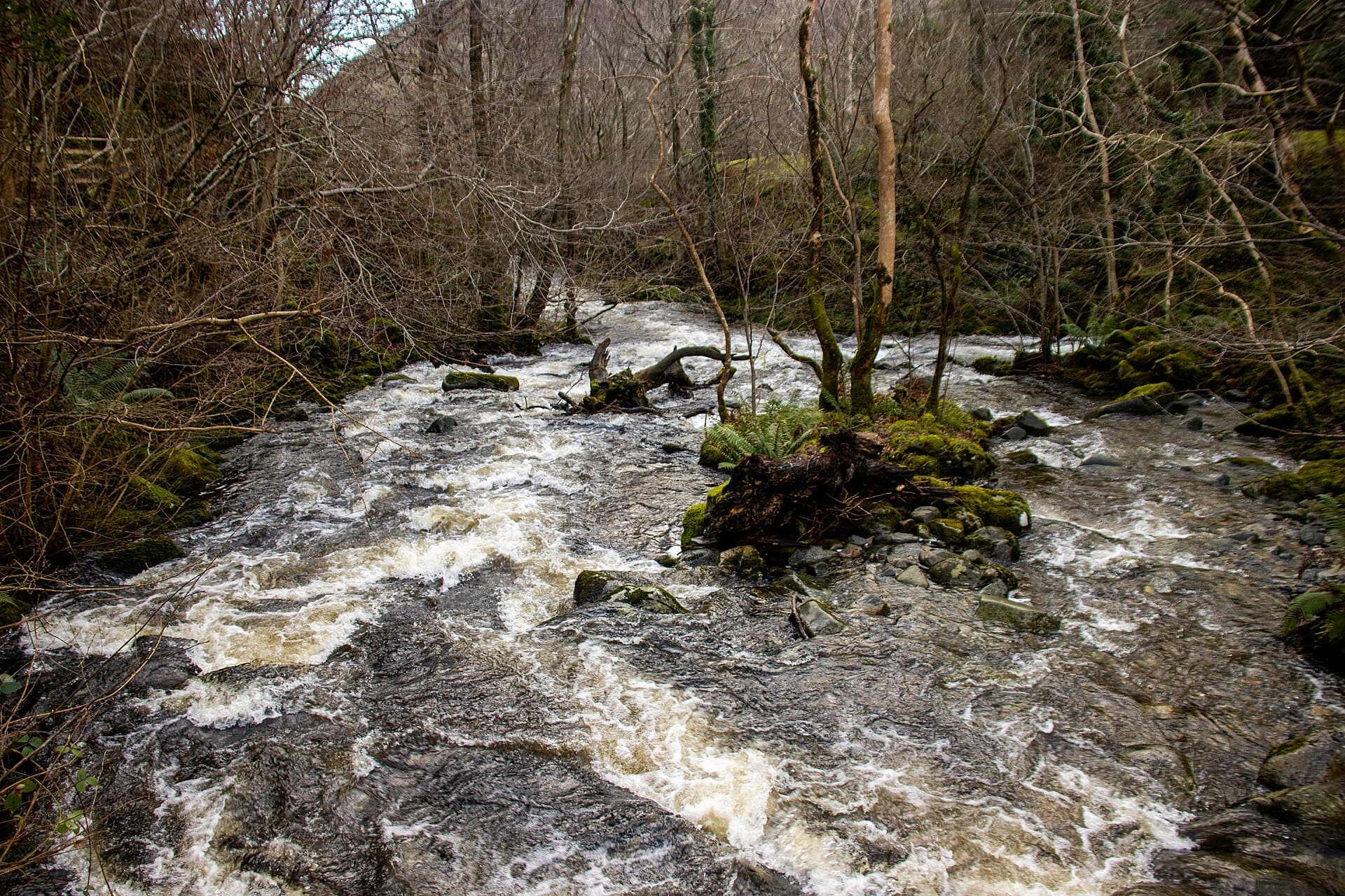 Aber Falls (Rhaeadr Fawr), Snowdonia