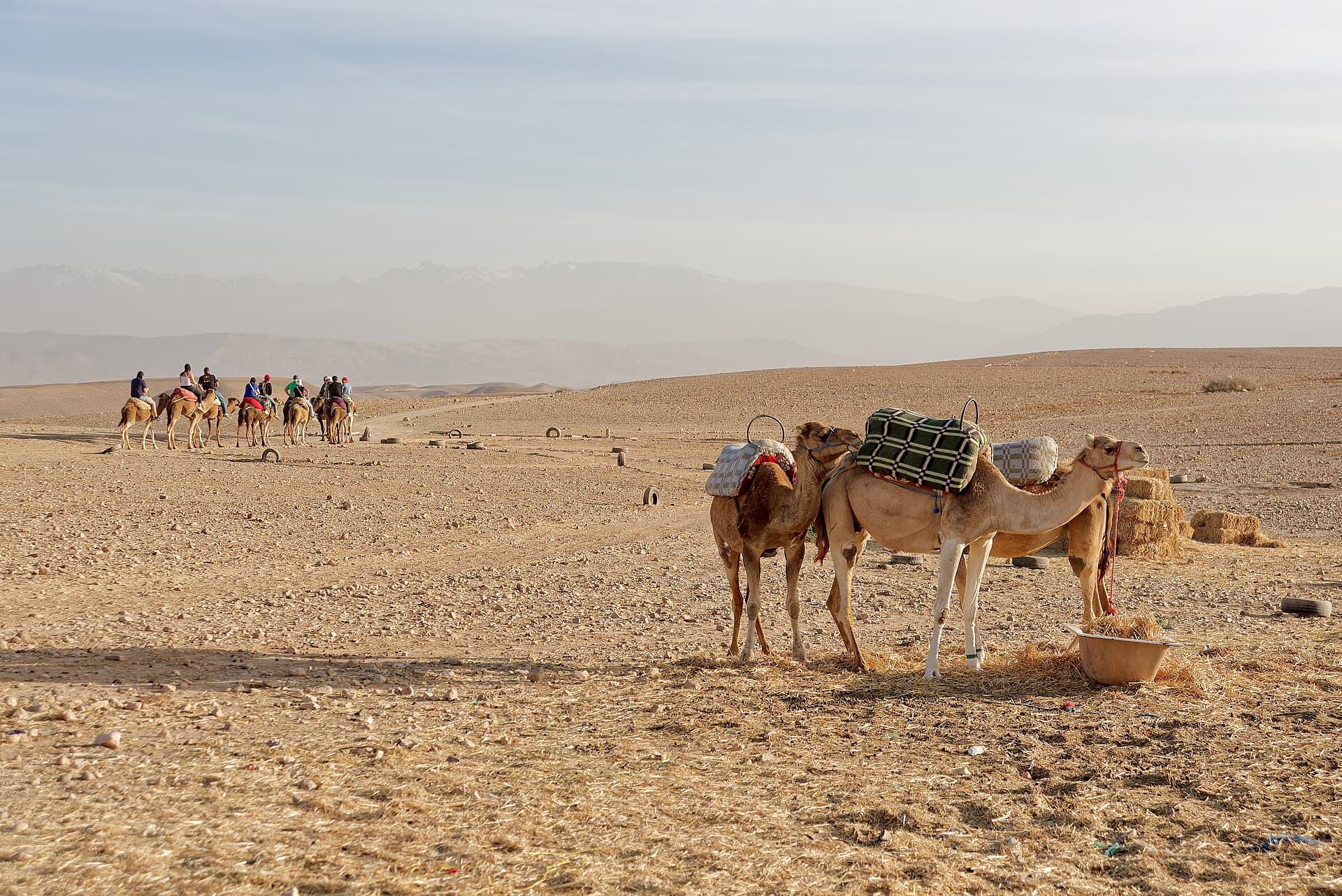 Agafay Desert