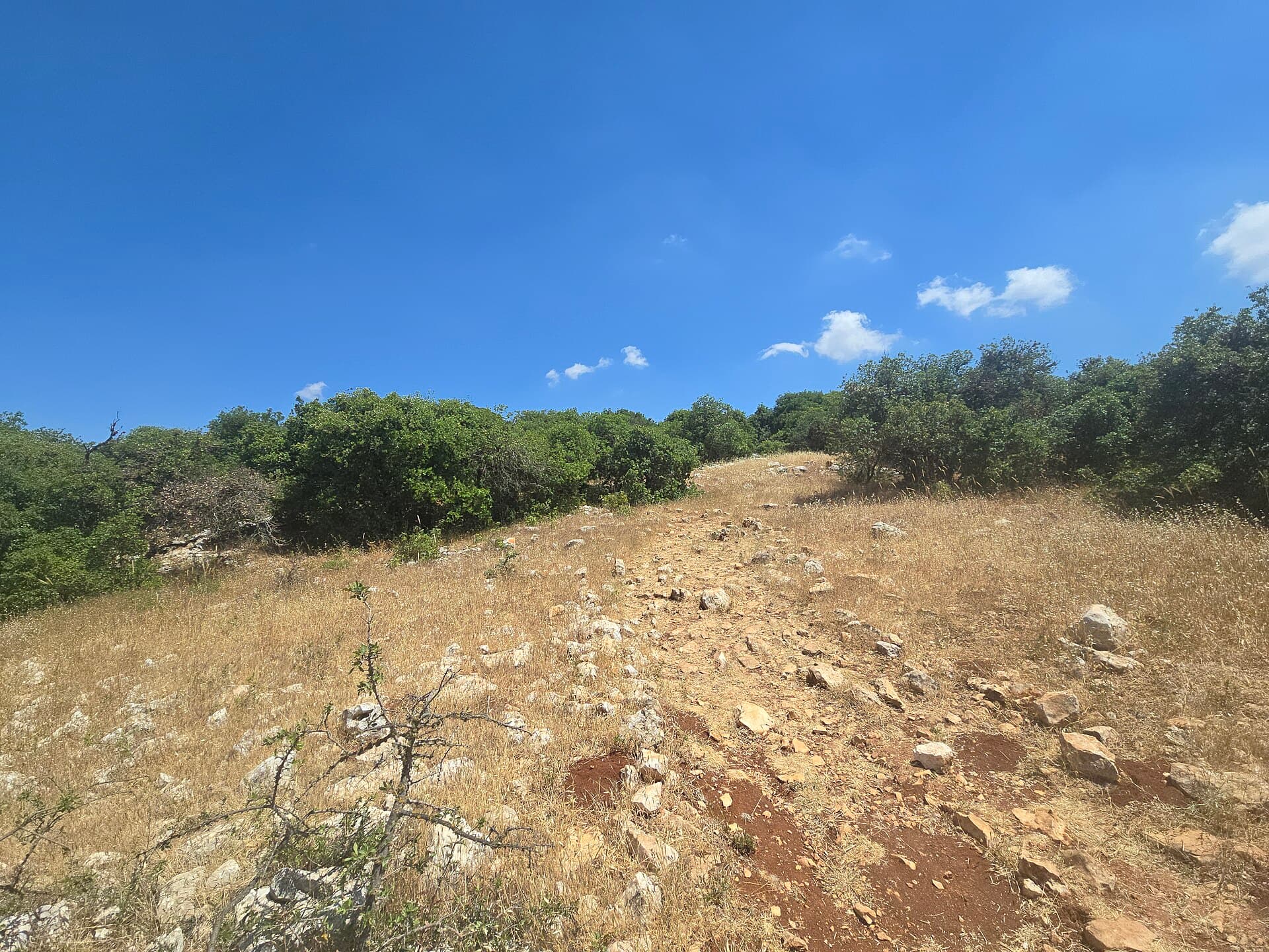 Ajloun Forest Reserve, Ajloun