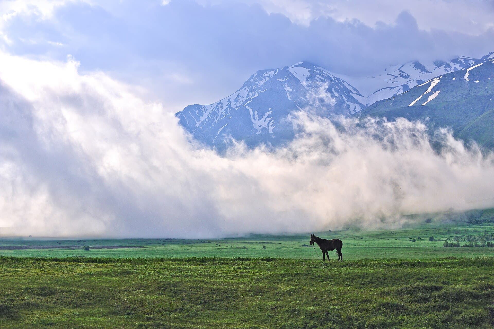 Aksu-Zhabagly Nature Reserve