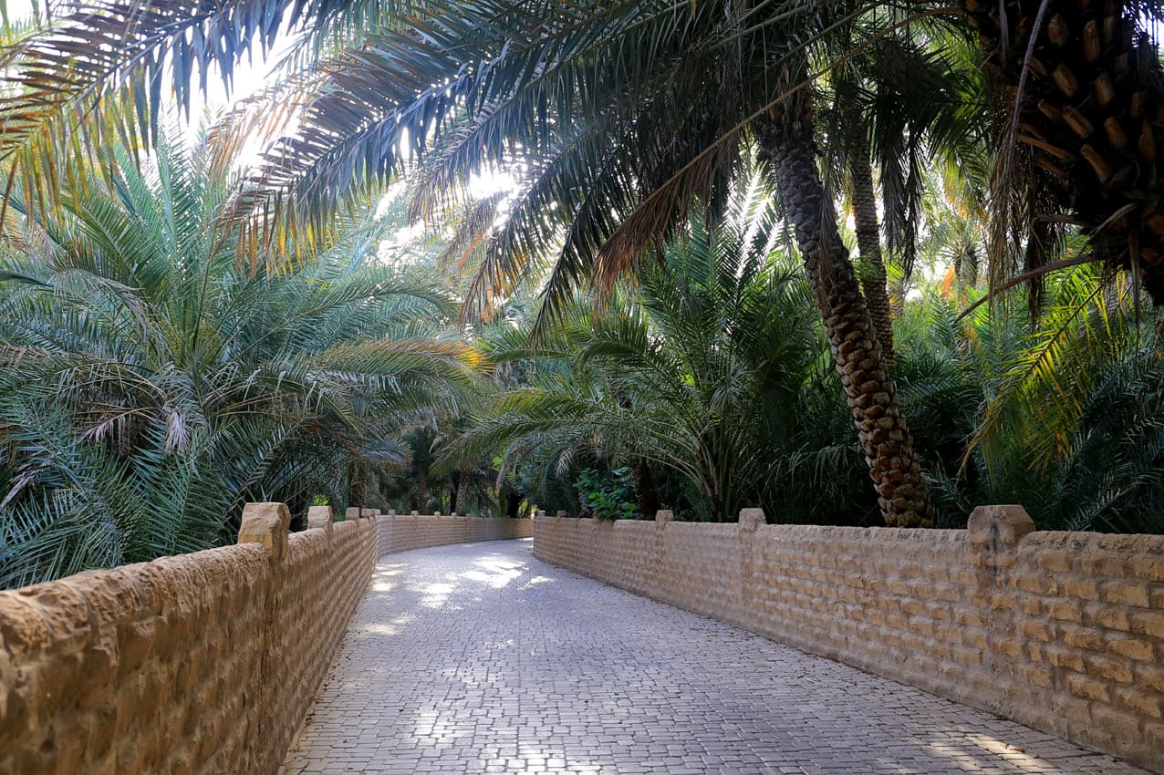 العين