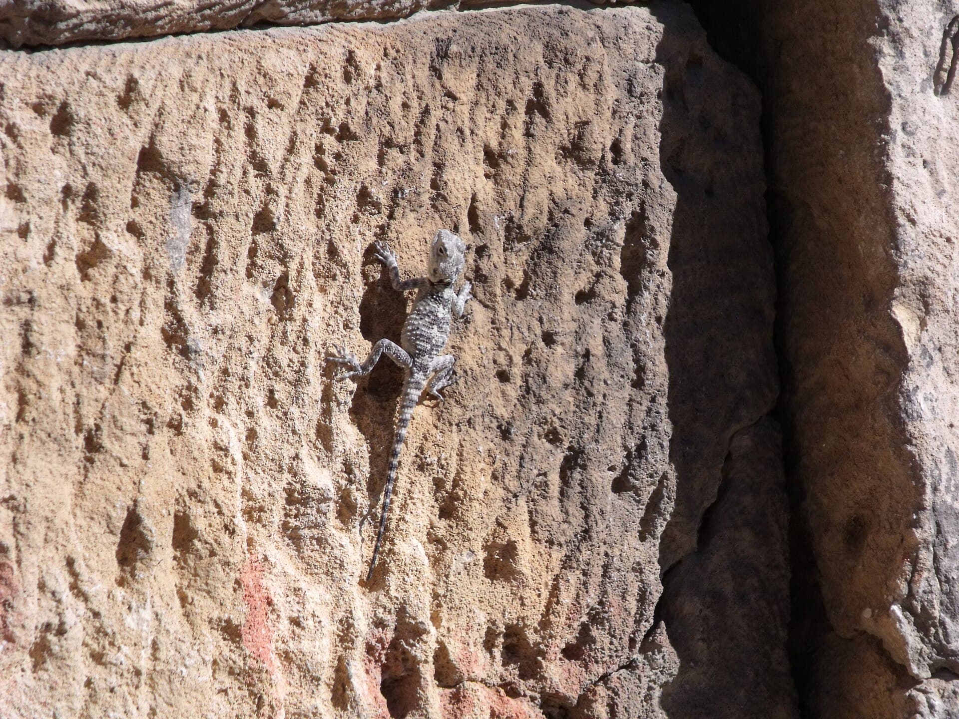 Alahan Monastery, Mersin