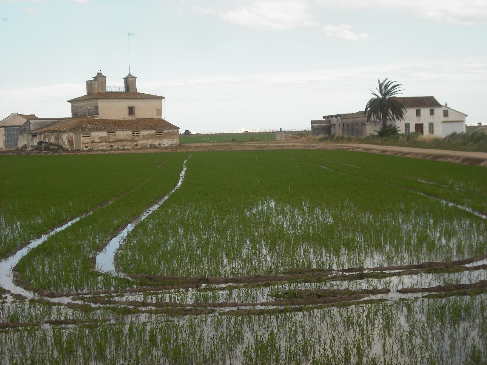 The Albufera, Valencia
