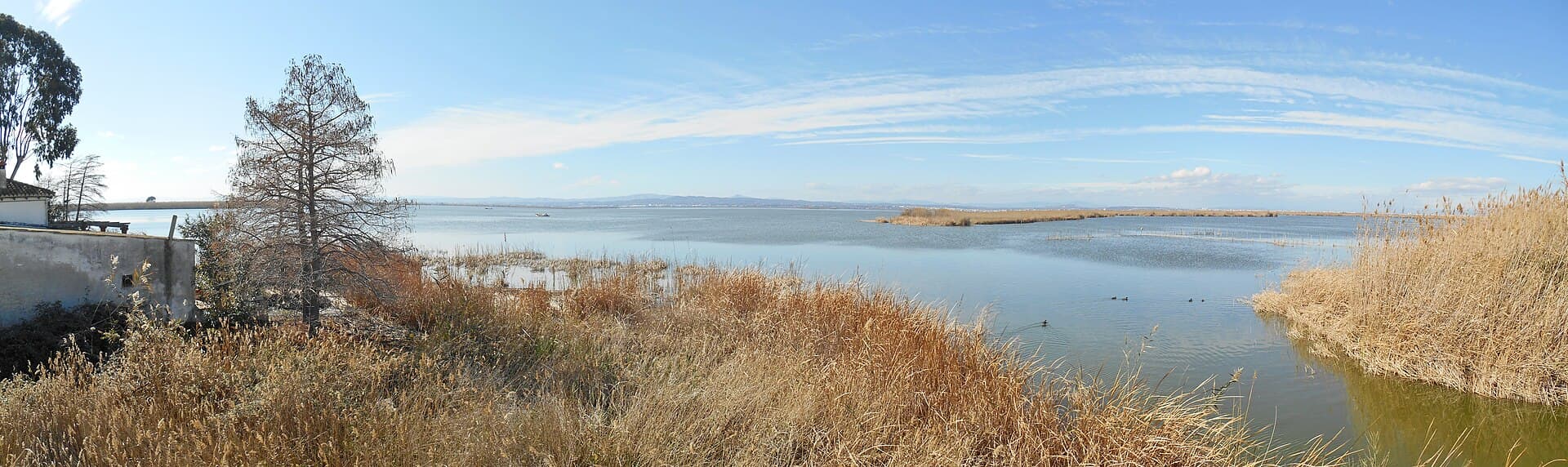 The Albufera, Valencia