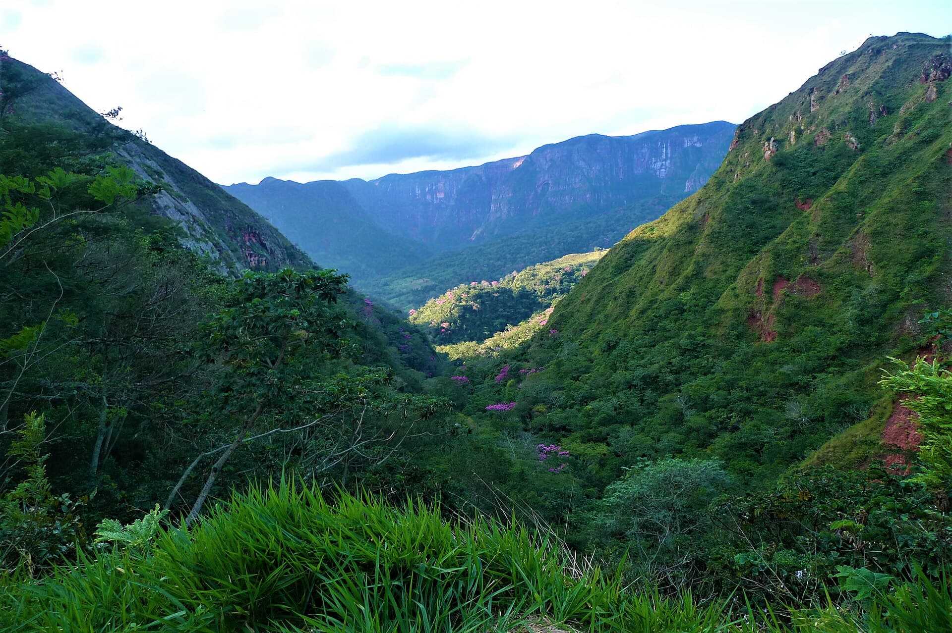 Amboró National Park