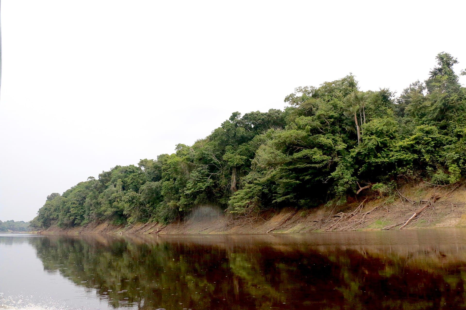 Anavilhanas National Park, Manaus