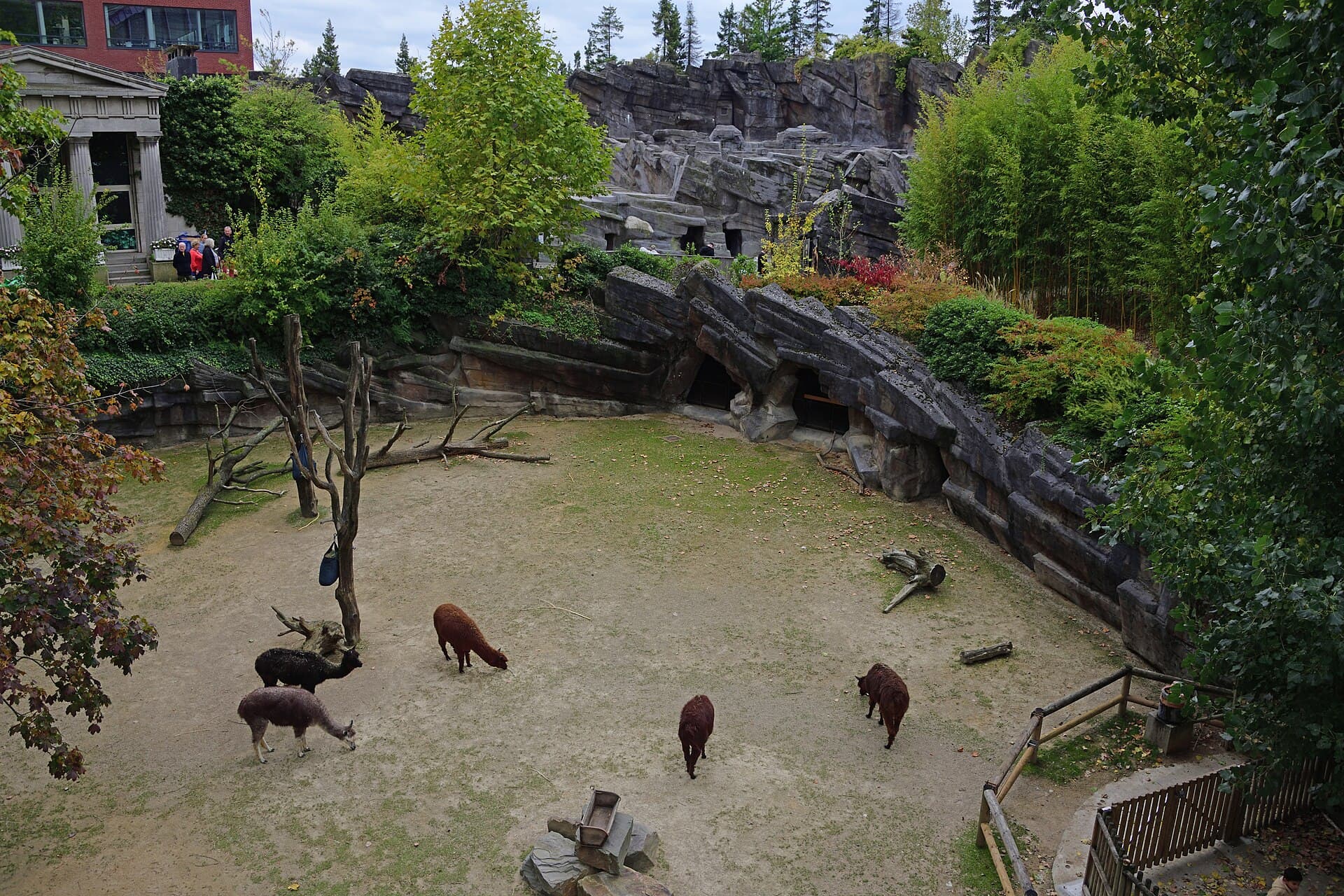 Antwerp Zoo, Antwerp