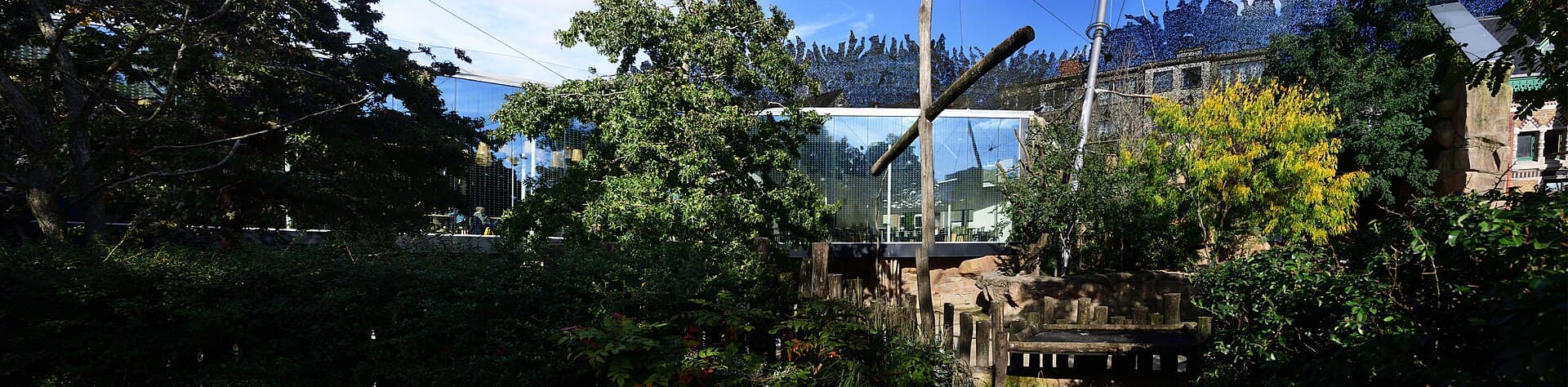 Antwerp Zoo, Antwerp