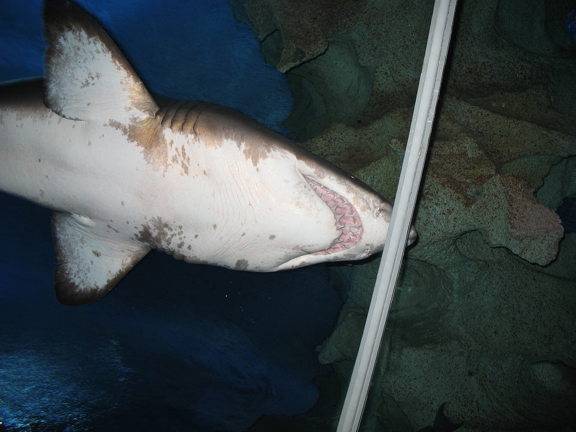 Aquaria KLCC, Kuala Lumpur