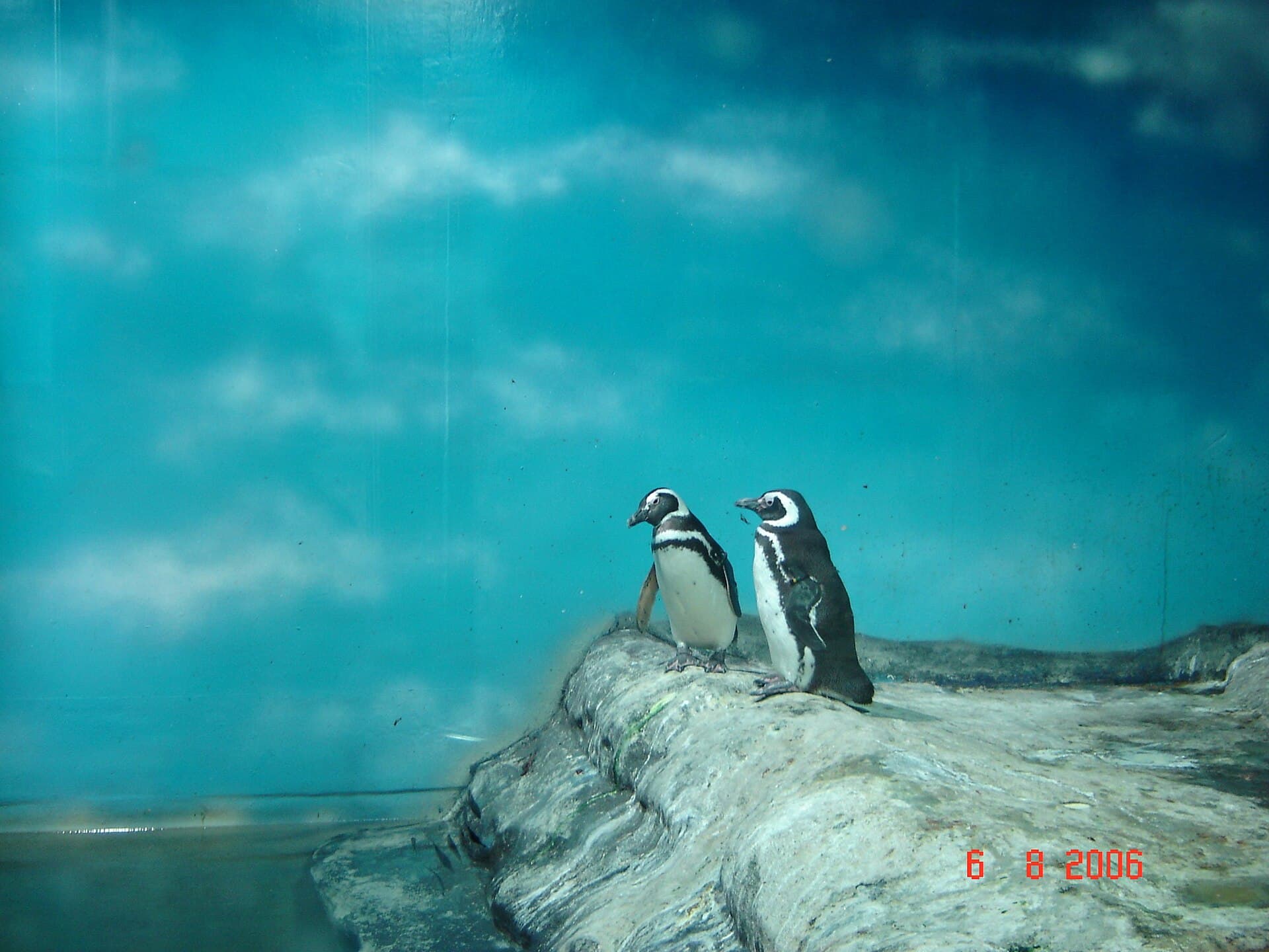 Santos Aquarium, Santos