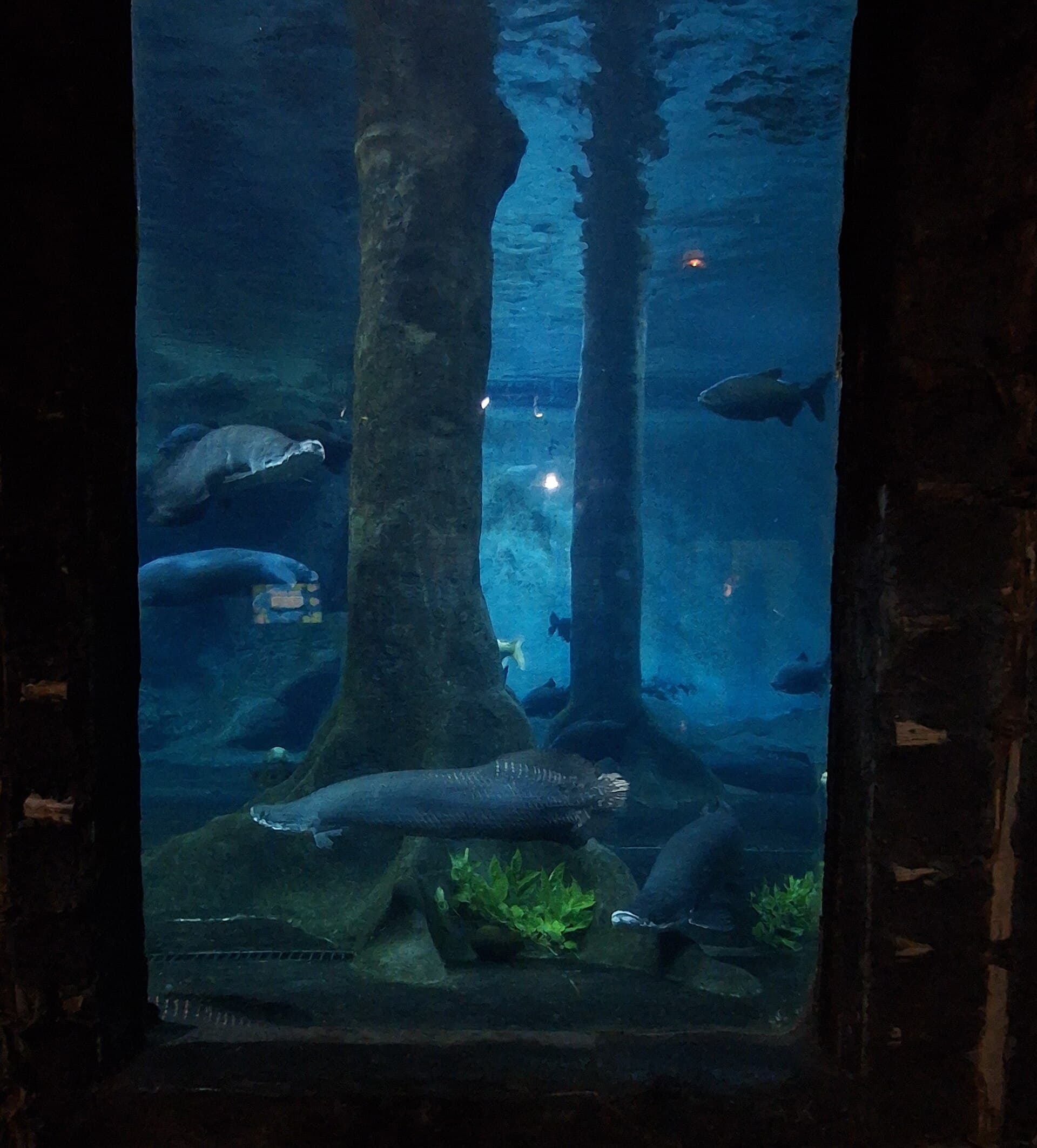 São Paulo Aquarium, São Paulo