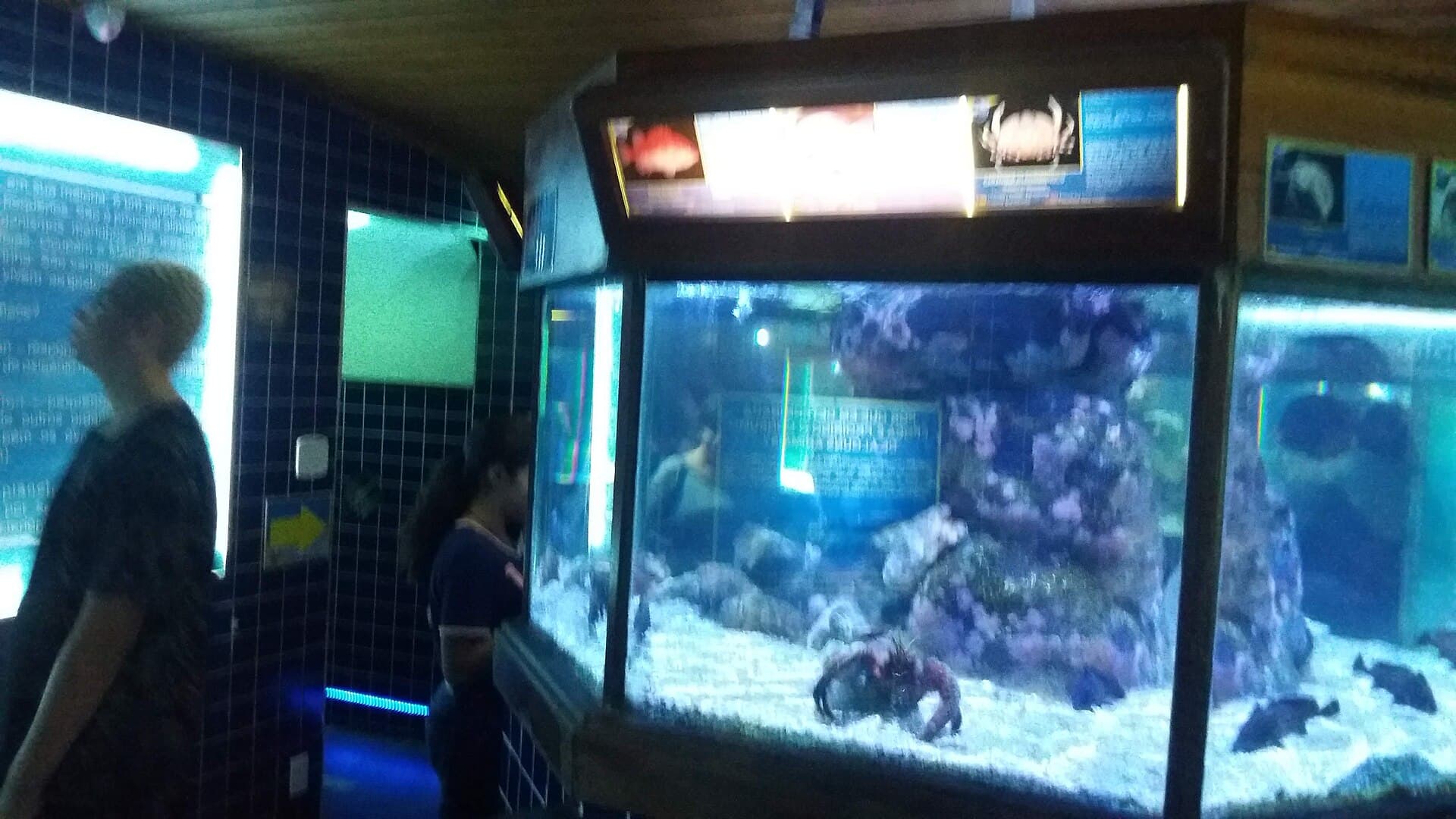 Ubatuba Aquarium, Ubatuba