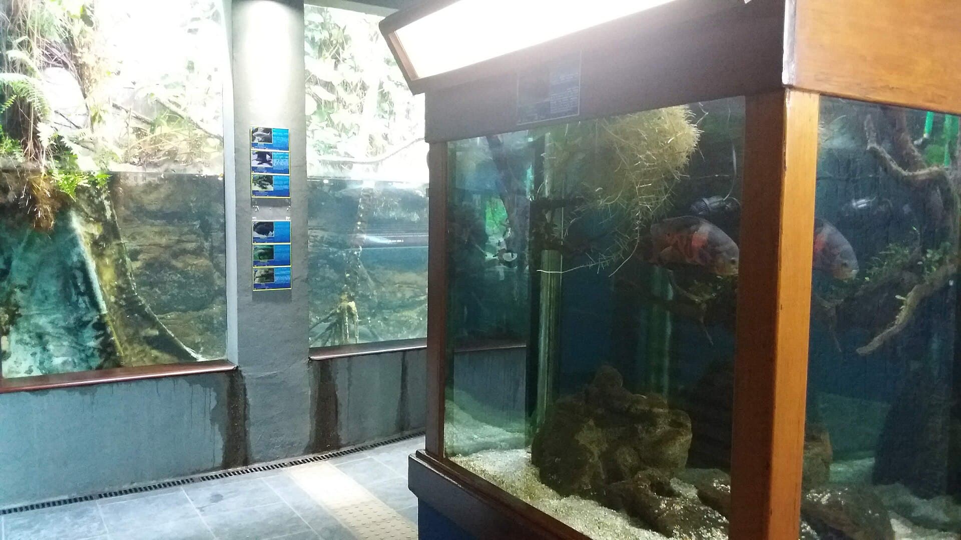 Ubatuba Aquarium, Ubatuba