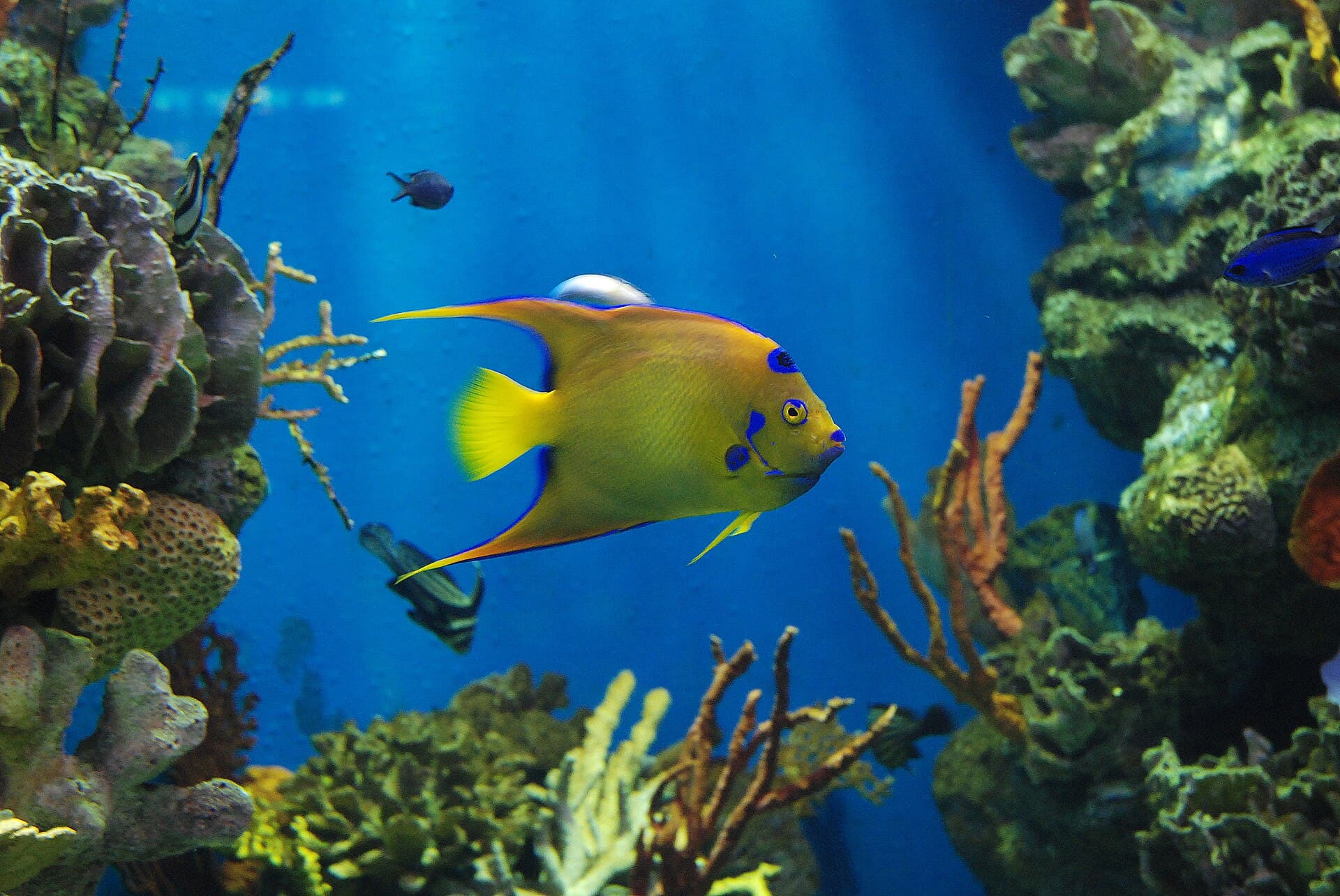 L'Aquàrium de Barcelona, Barcelona