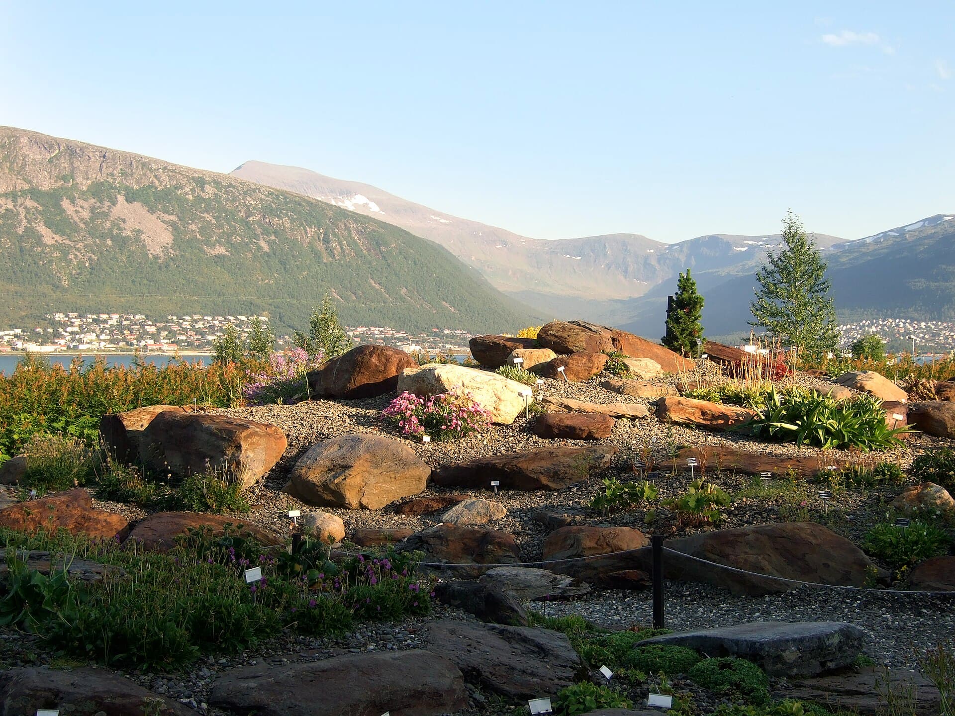 The Arctic-Alpine Botanic Garden, Tromsø