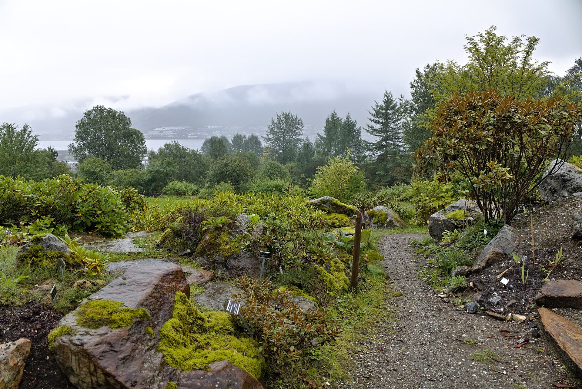 The Arctic-Alpine Botanic Garden, Tromsø