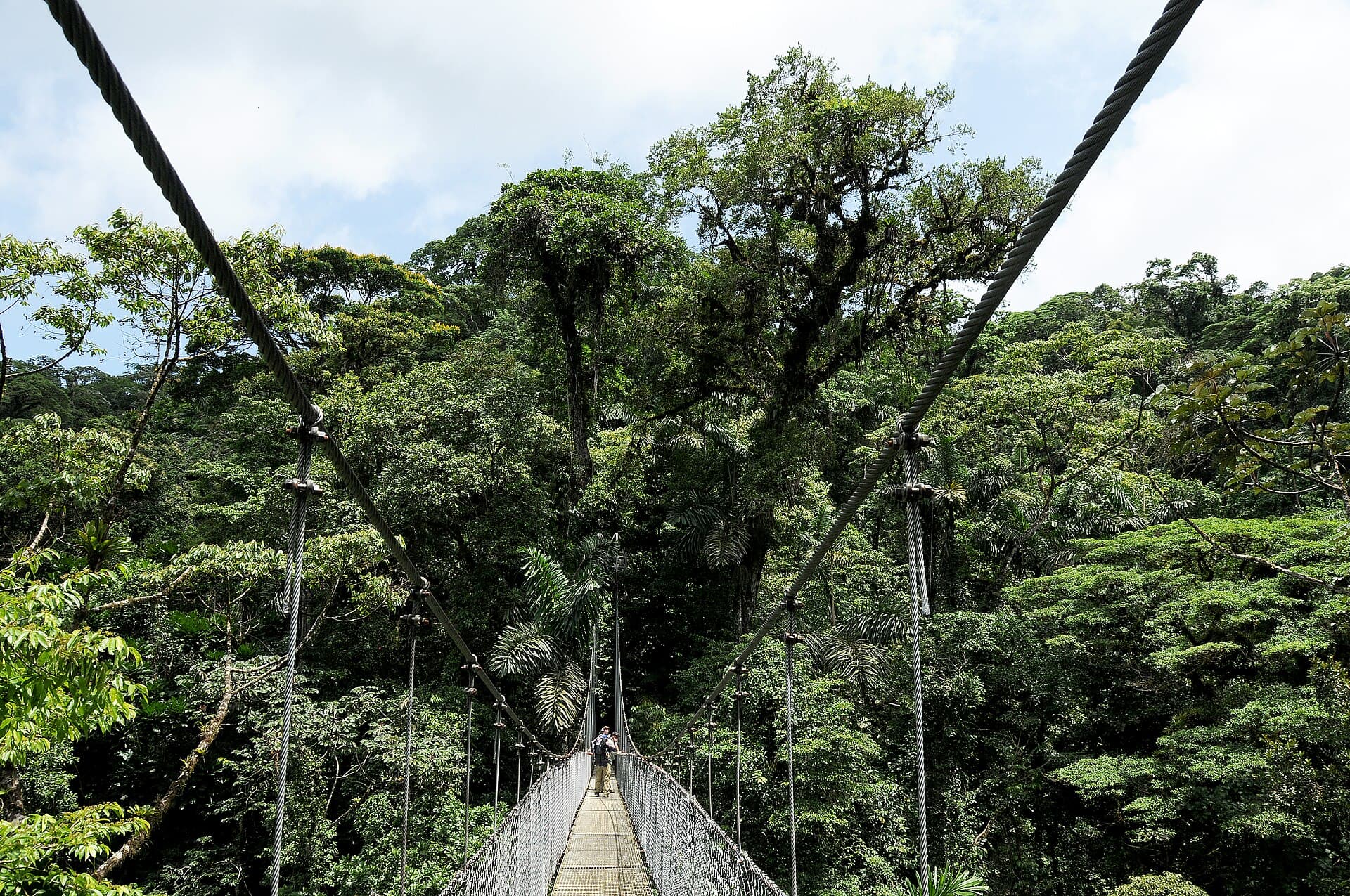 Arenal hanging bridges