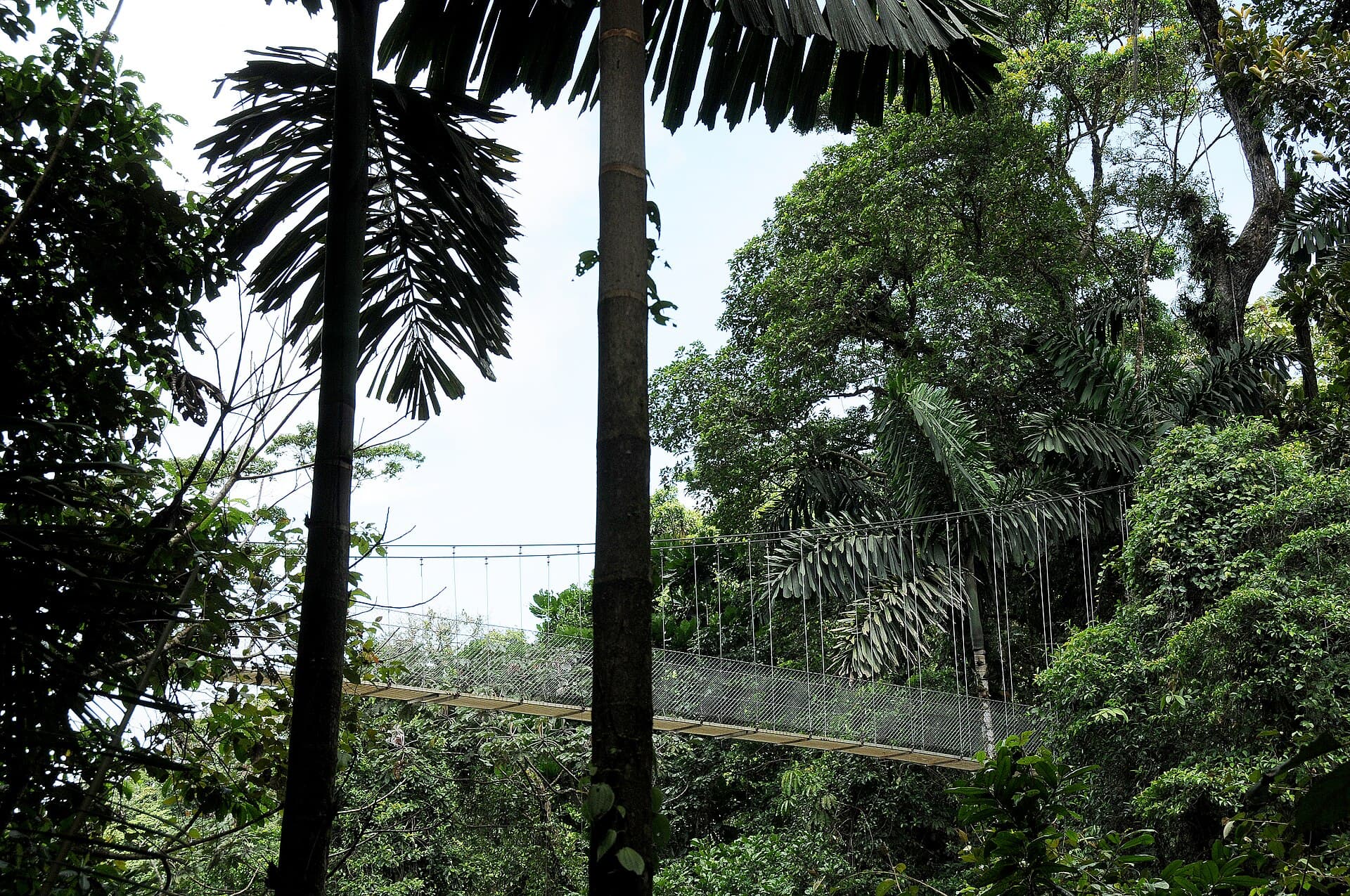Arenal hanging bridges