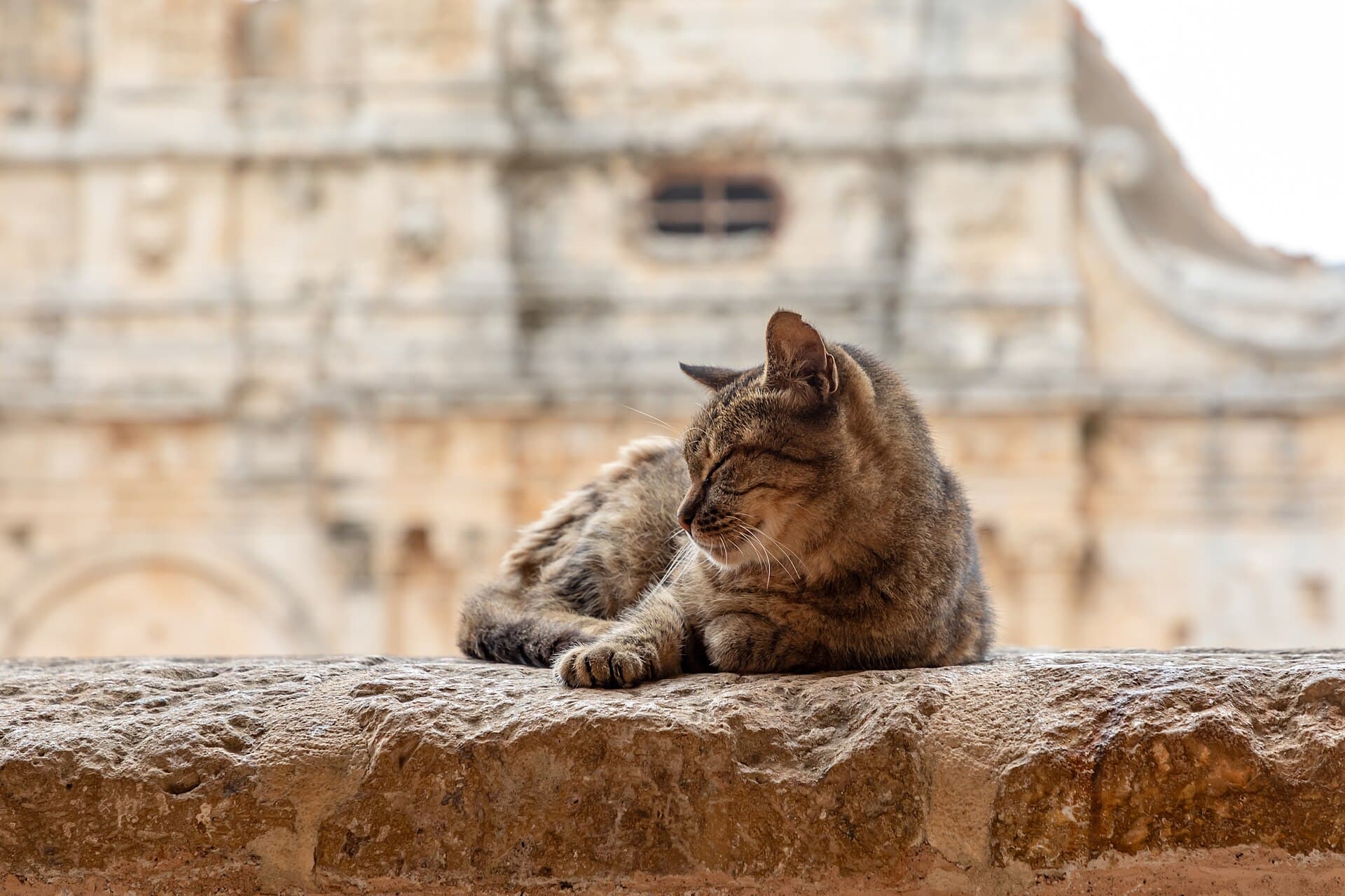 Arkadi Monastery, Heraklion