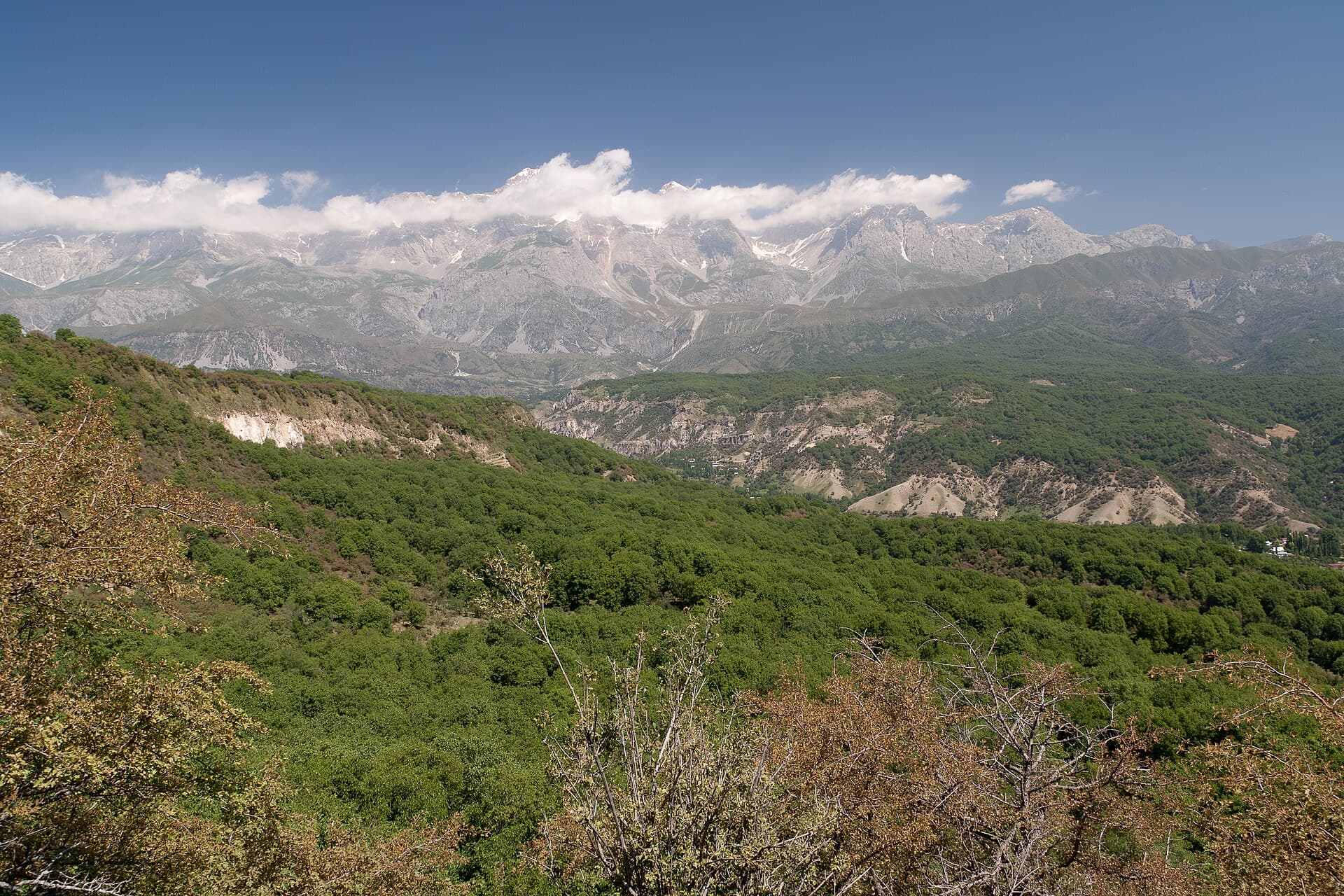 Arslanbob Walnut Forest, Arslanbob