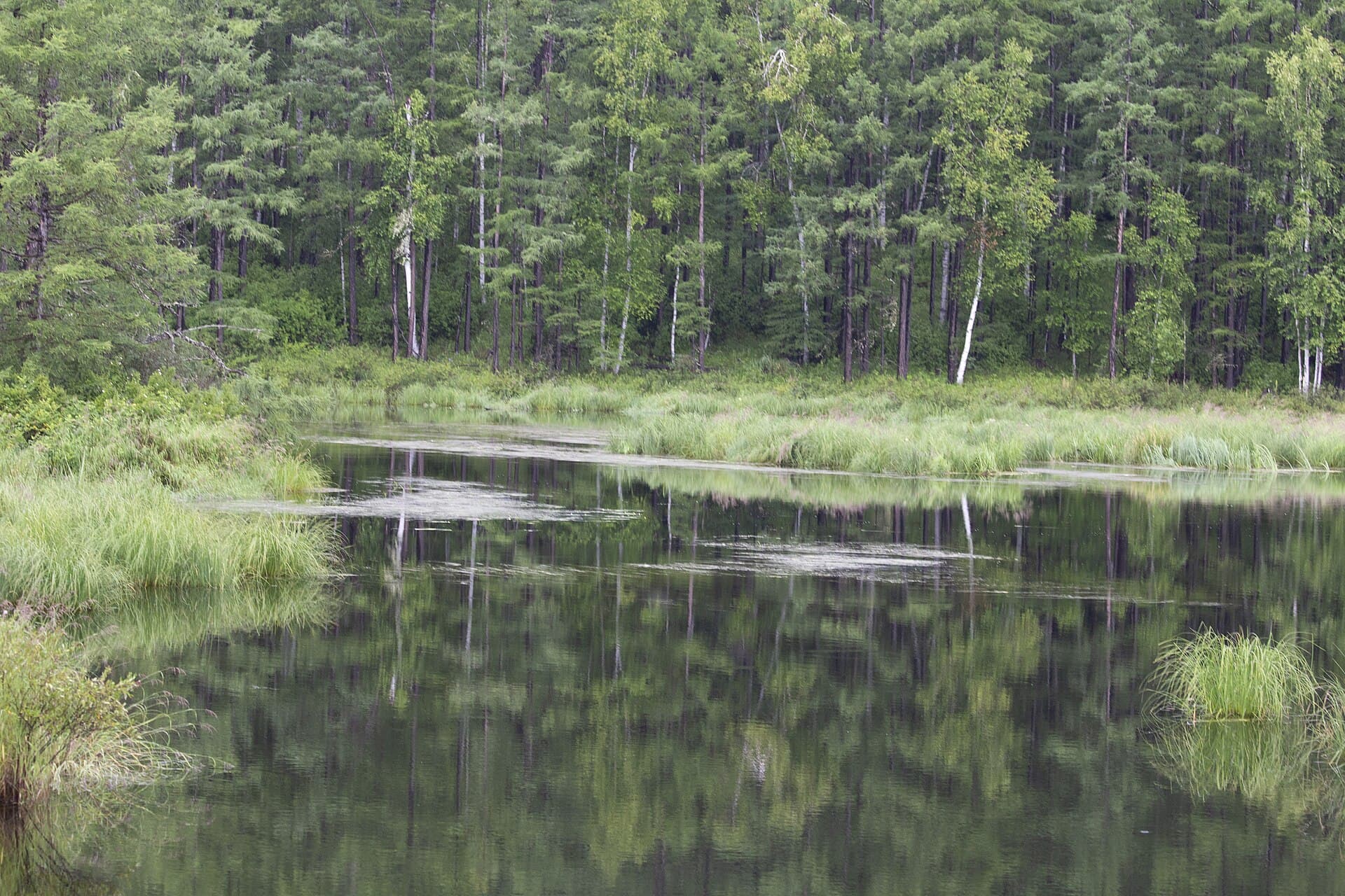 Arxan National Forest Park