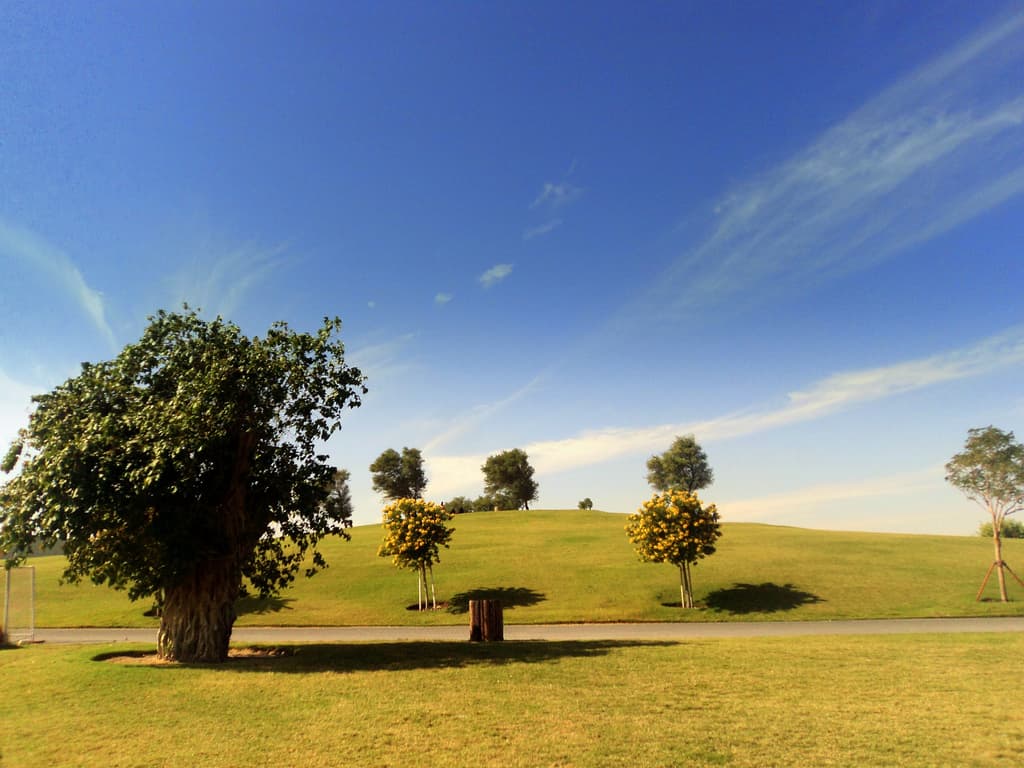 Aspire Park