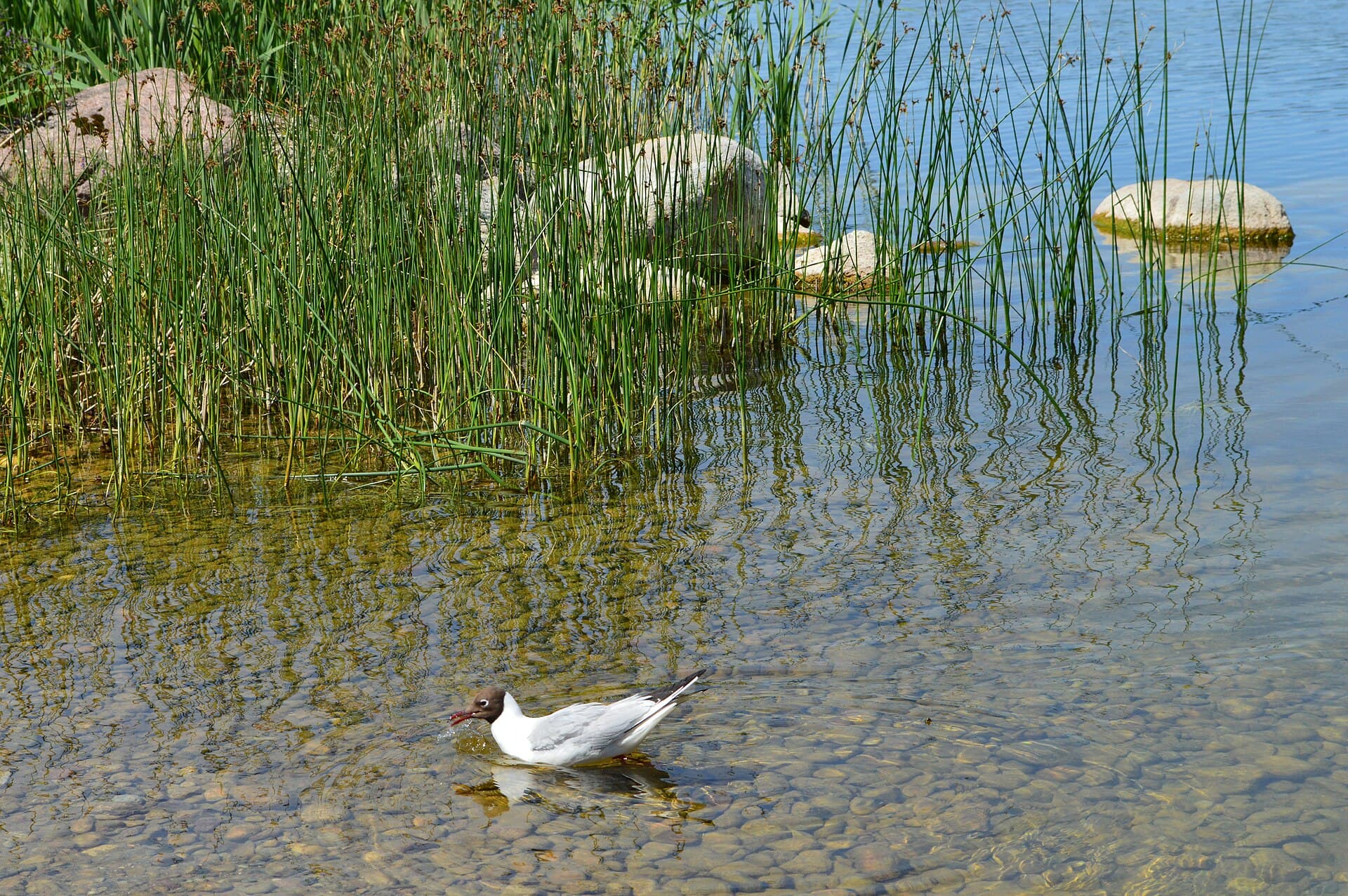 Aukštaitija National Park, Ignalina