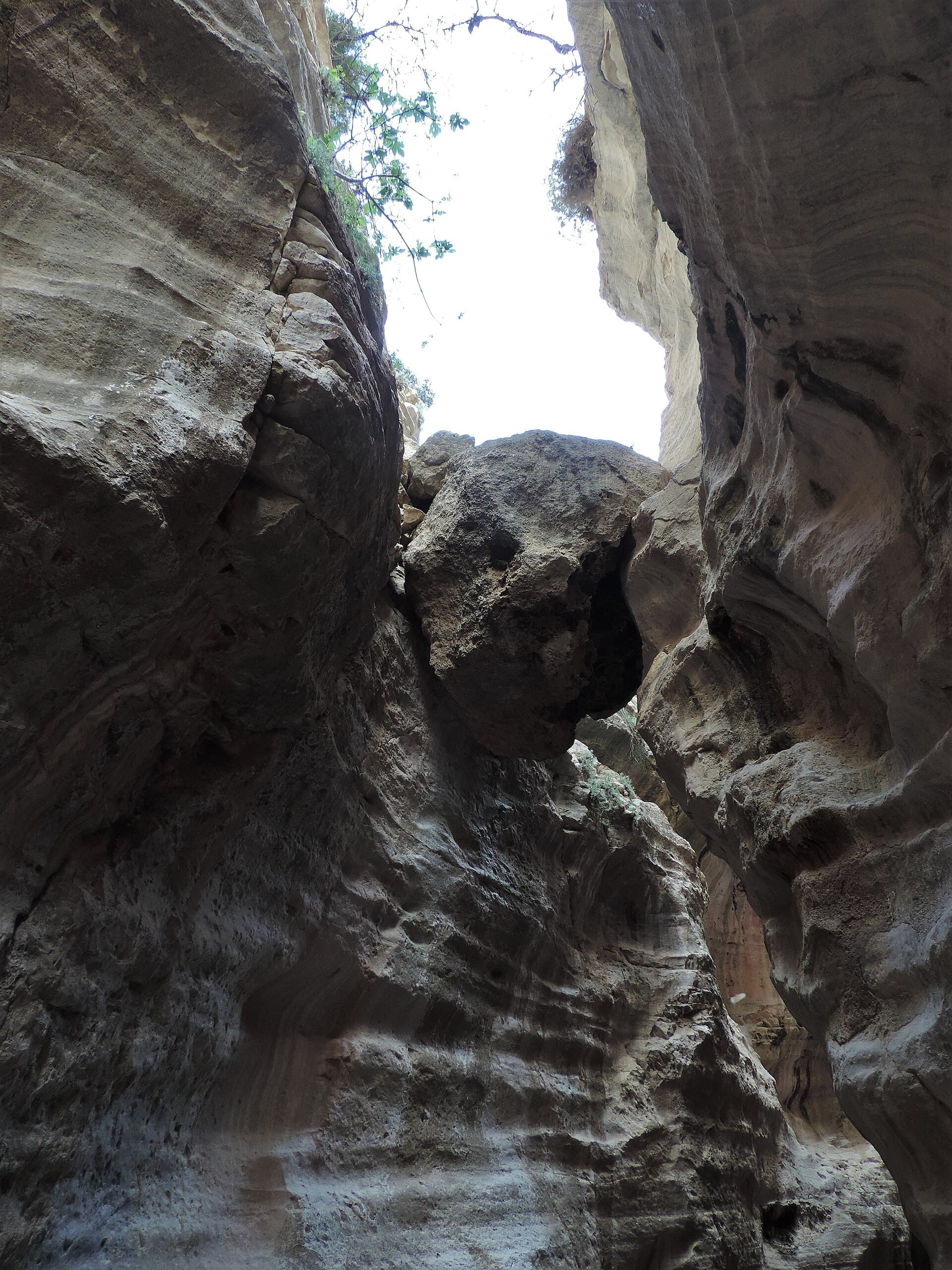 Avakas Gorge
