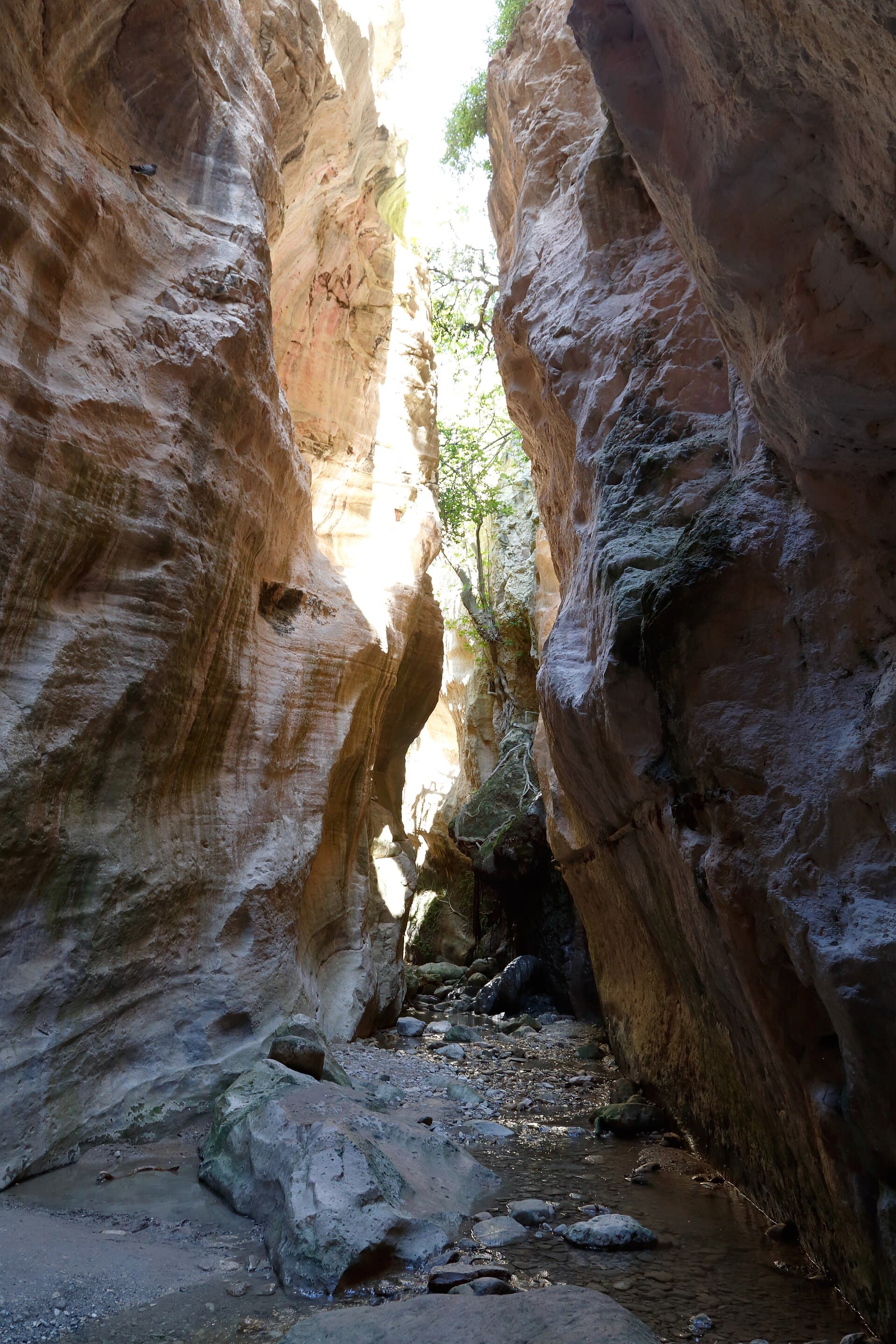 Avakas Gorge
