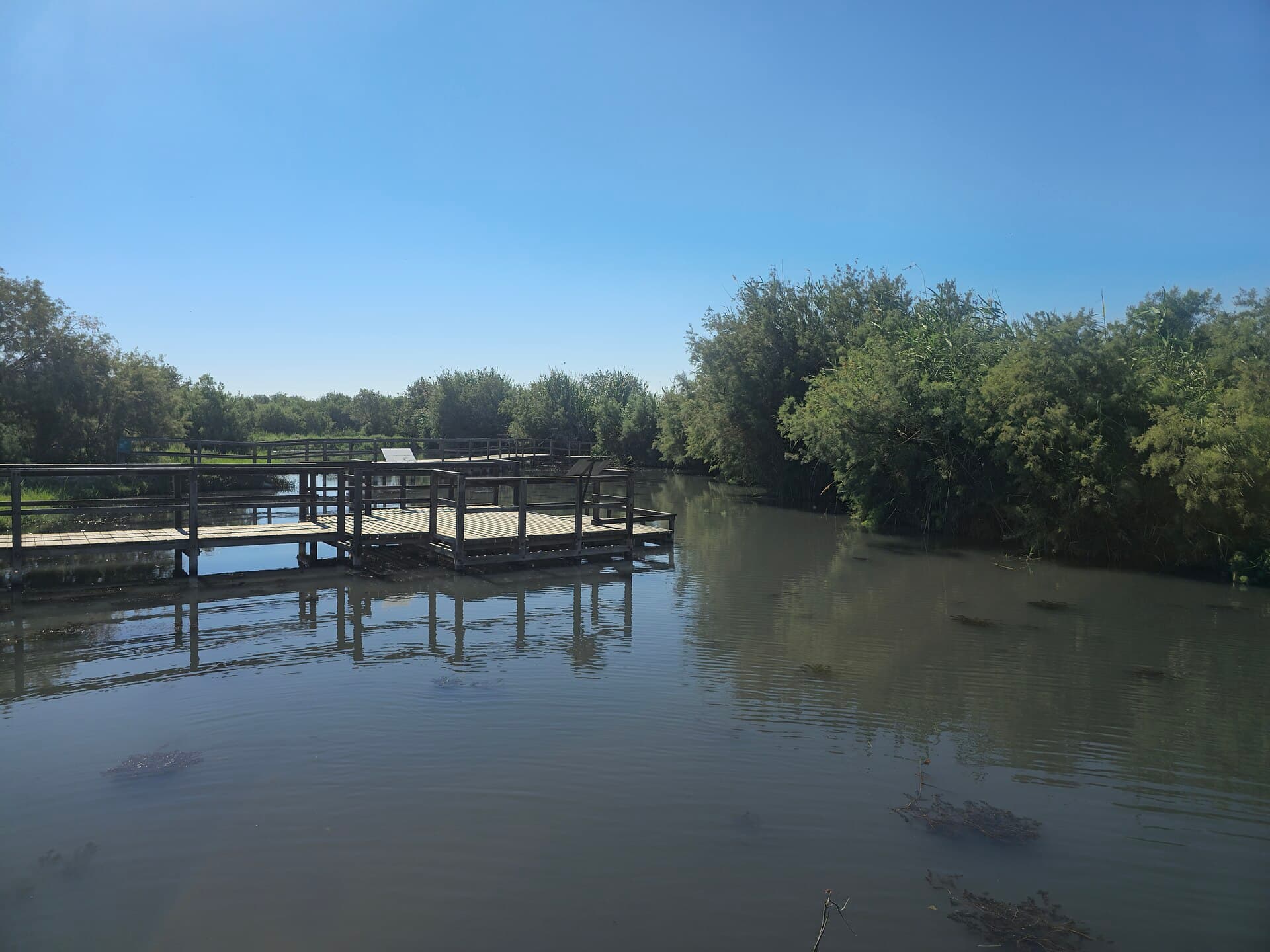 Azraq Wetland Reserve, Azraq