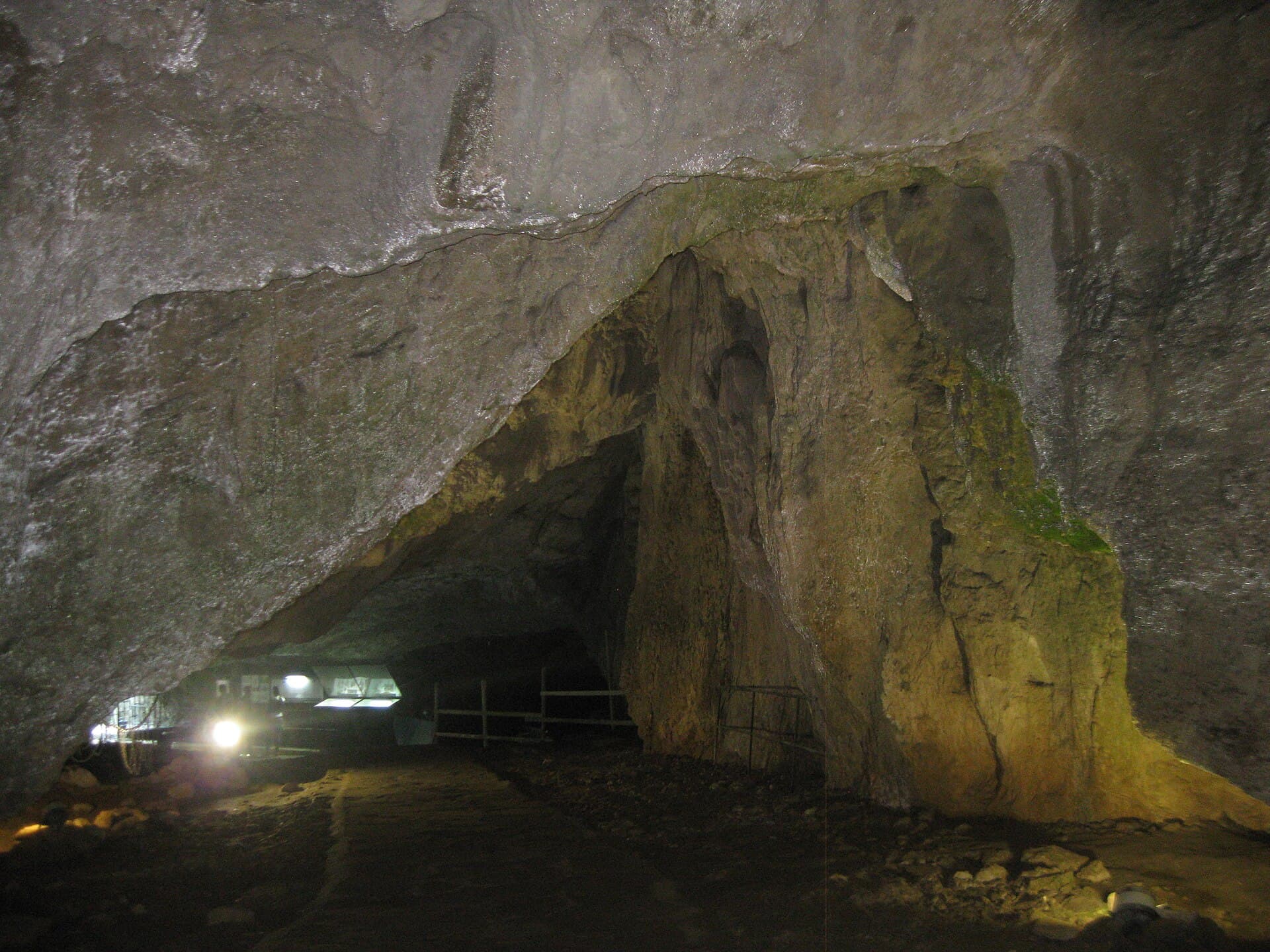 Bacho Kiro Cave, Dryanovo
