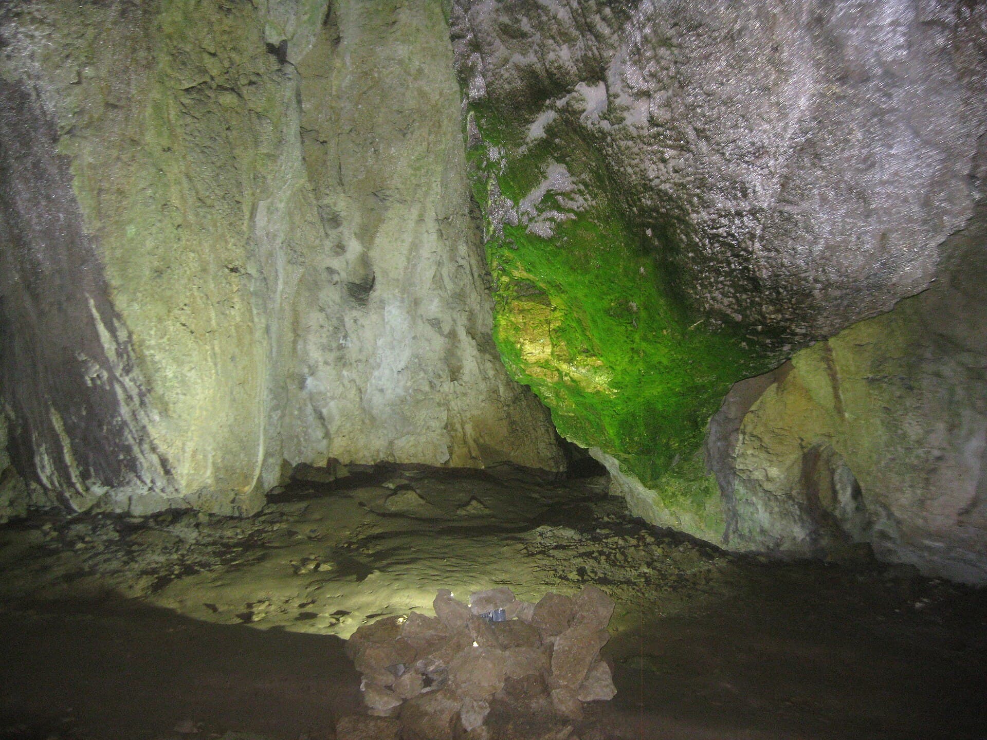 Bacho Kiro Cave, Dryanovo