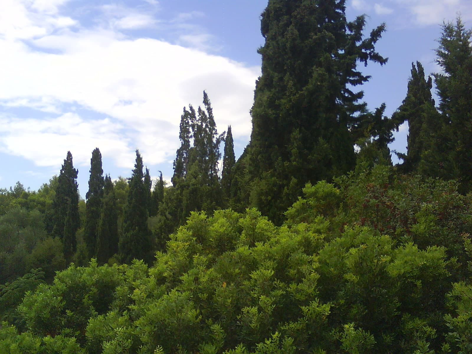 Badija Island, Korčula