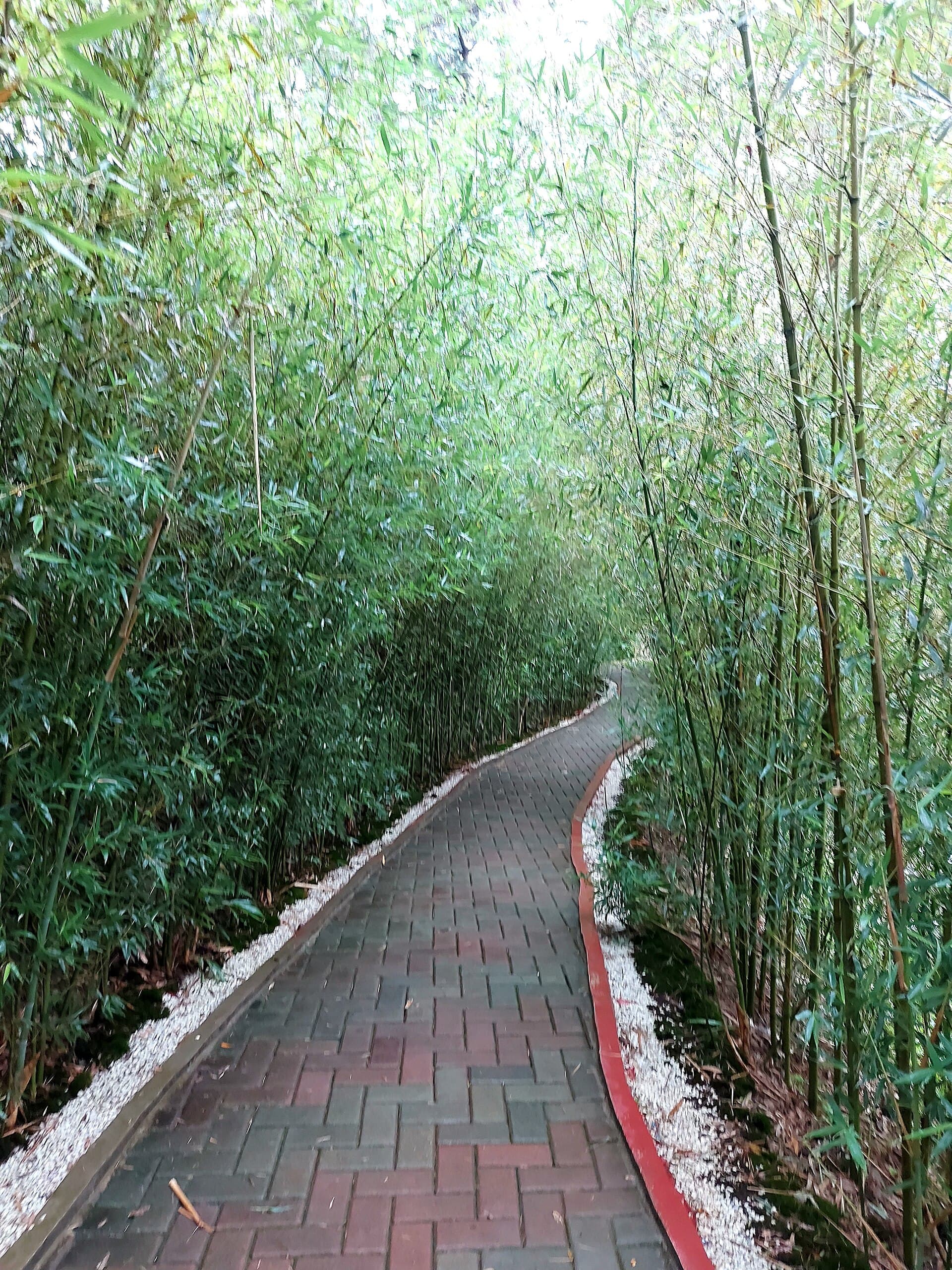 Botanical Garden