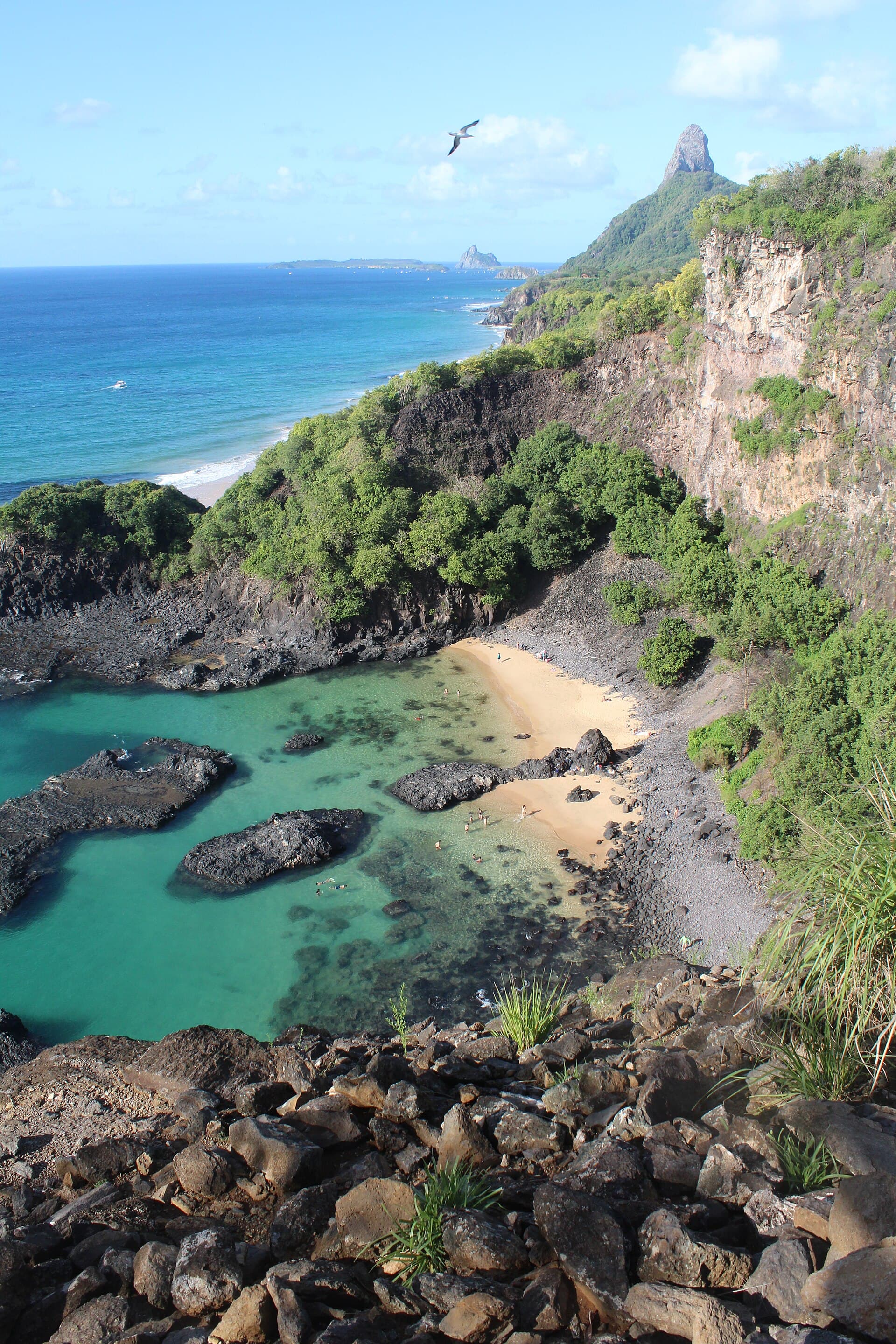 Baía dos Porcos, Fernando de Noronha