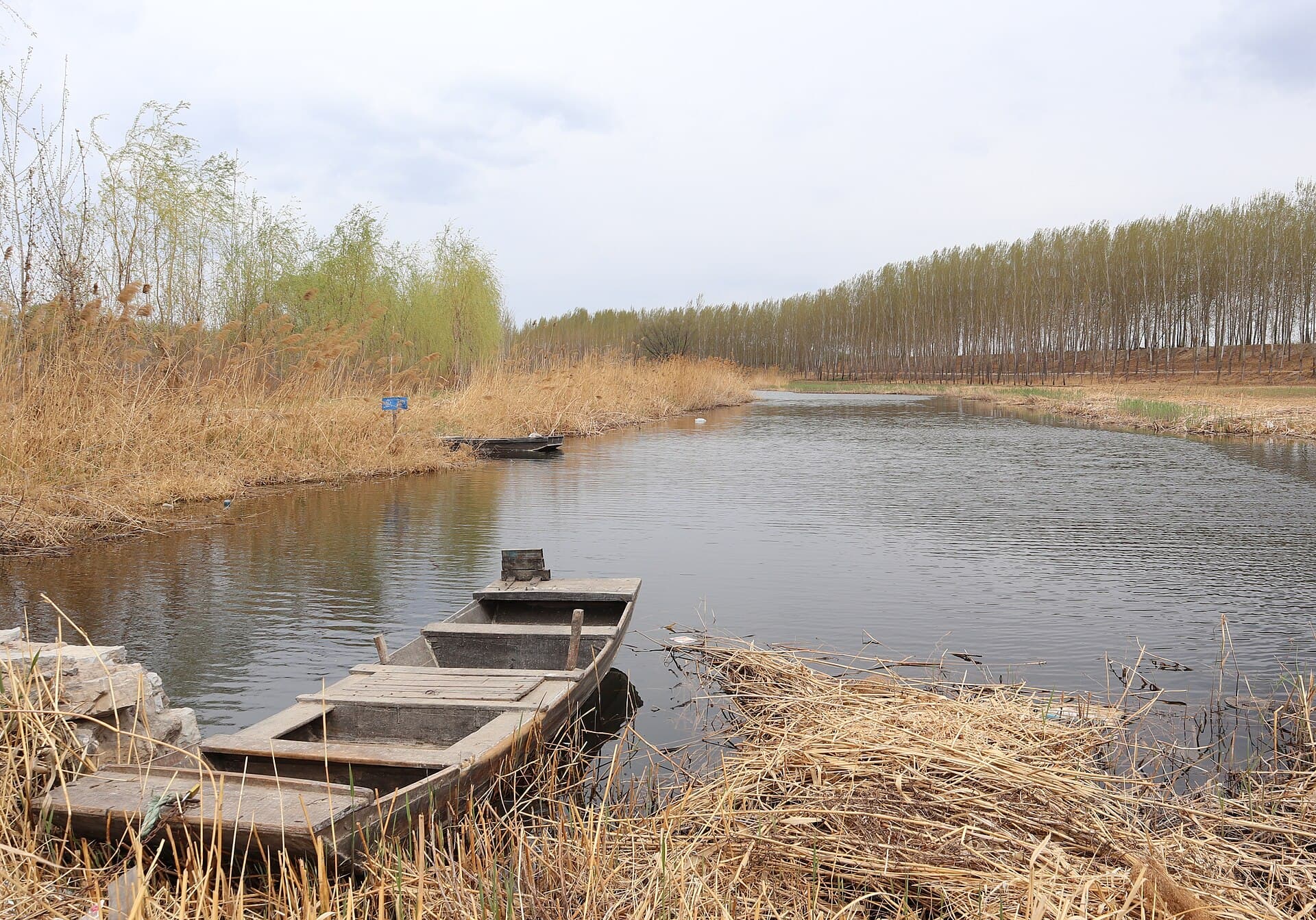 Baiyangdian Lake