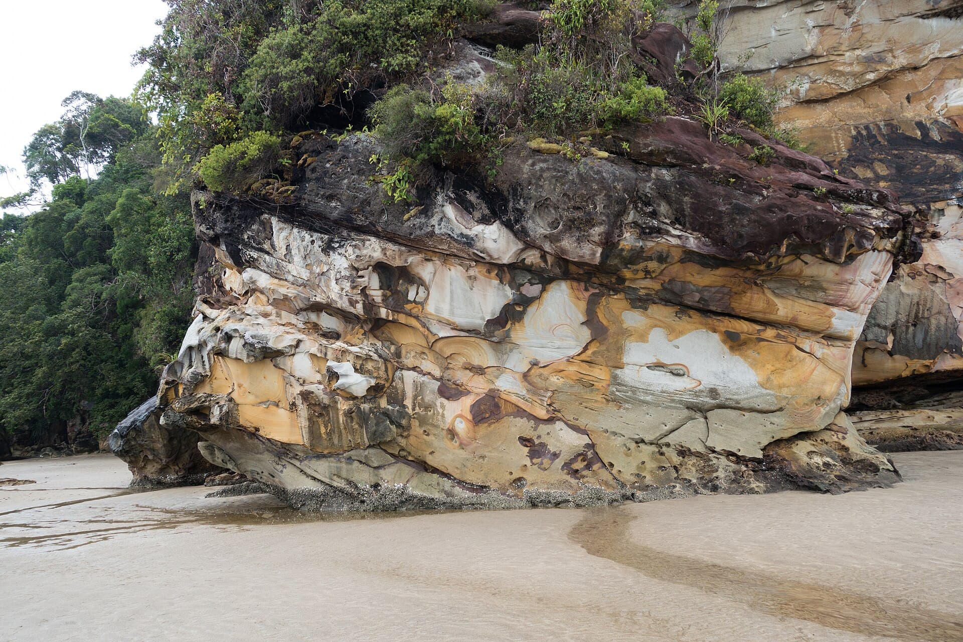 Bako National Park