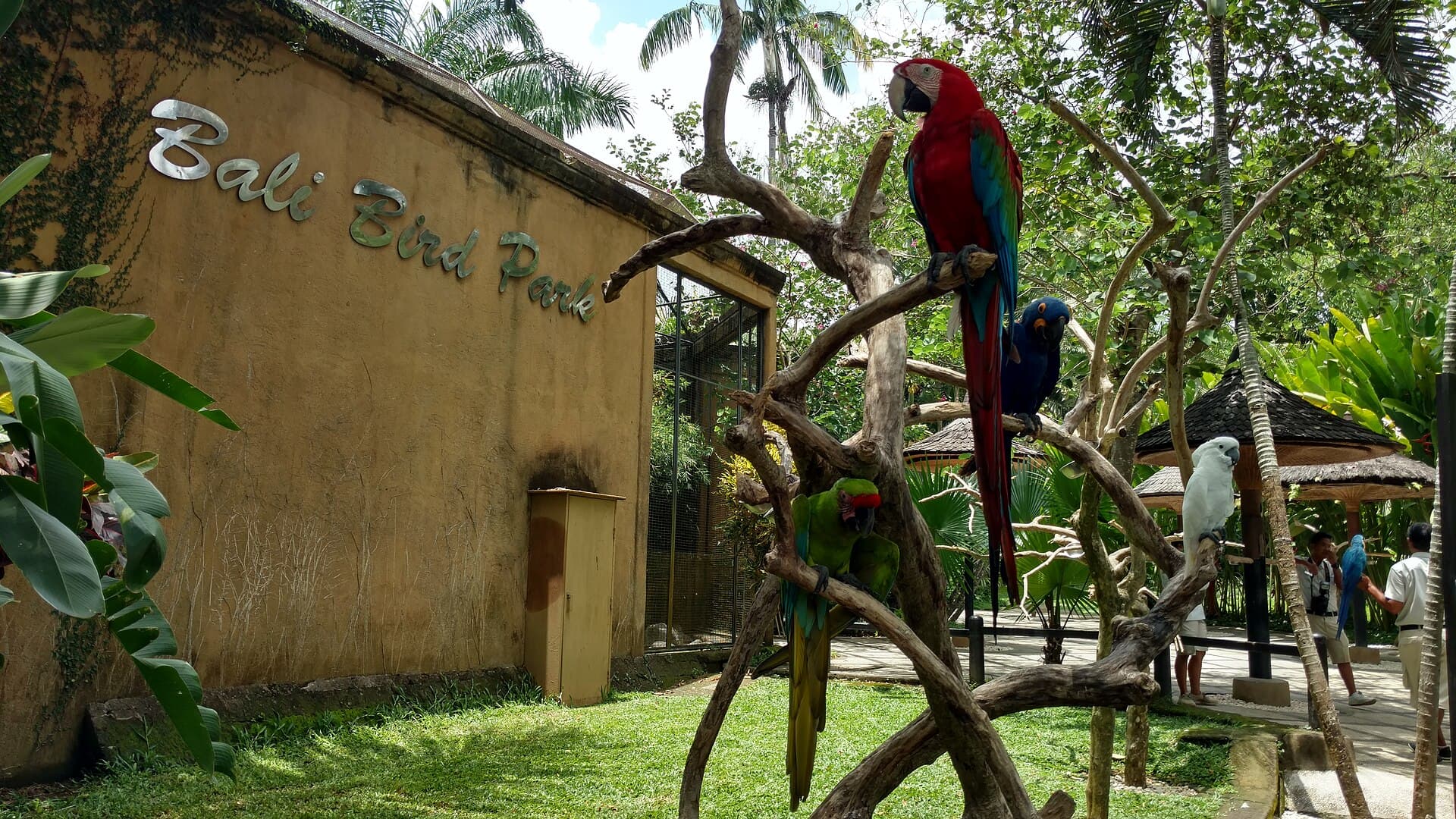 Bali Bird Park, Bali
