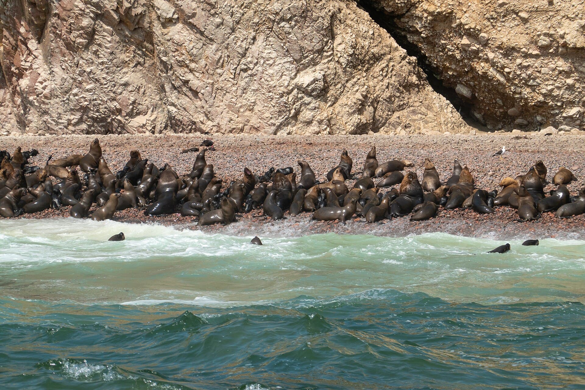 Ballestas Islands