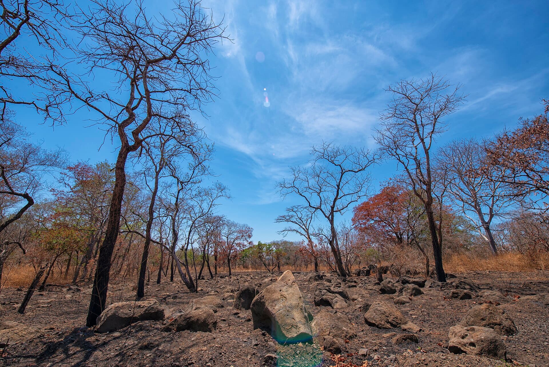 Baluran National Park, Banyuwangi
