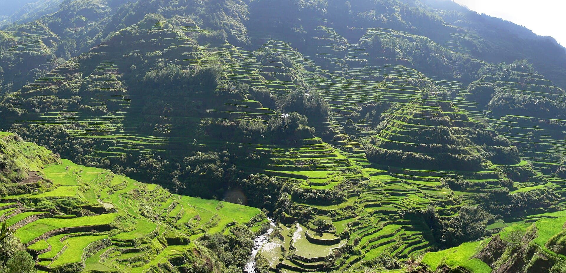 Banaue Rice Terraces