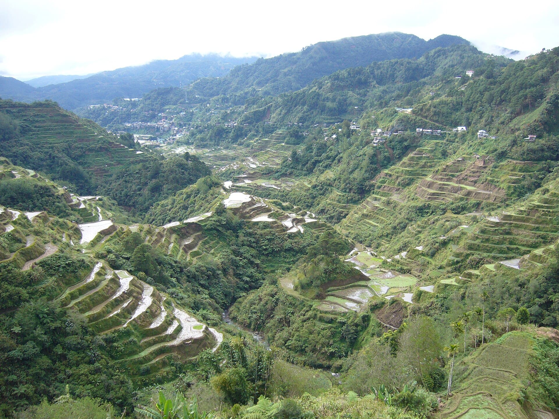 Banaue Rice Terraces