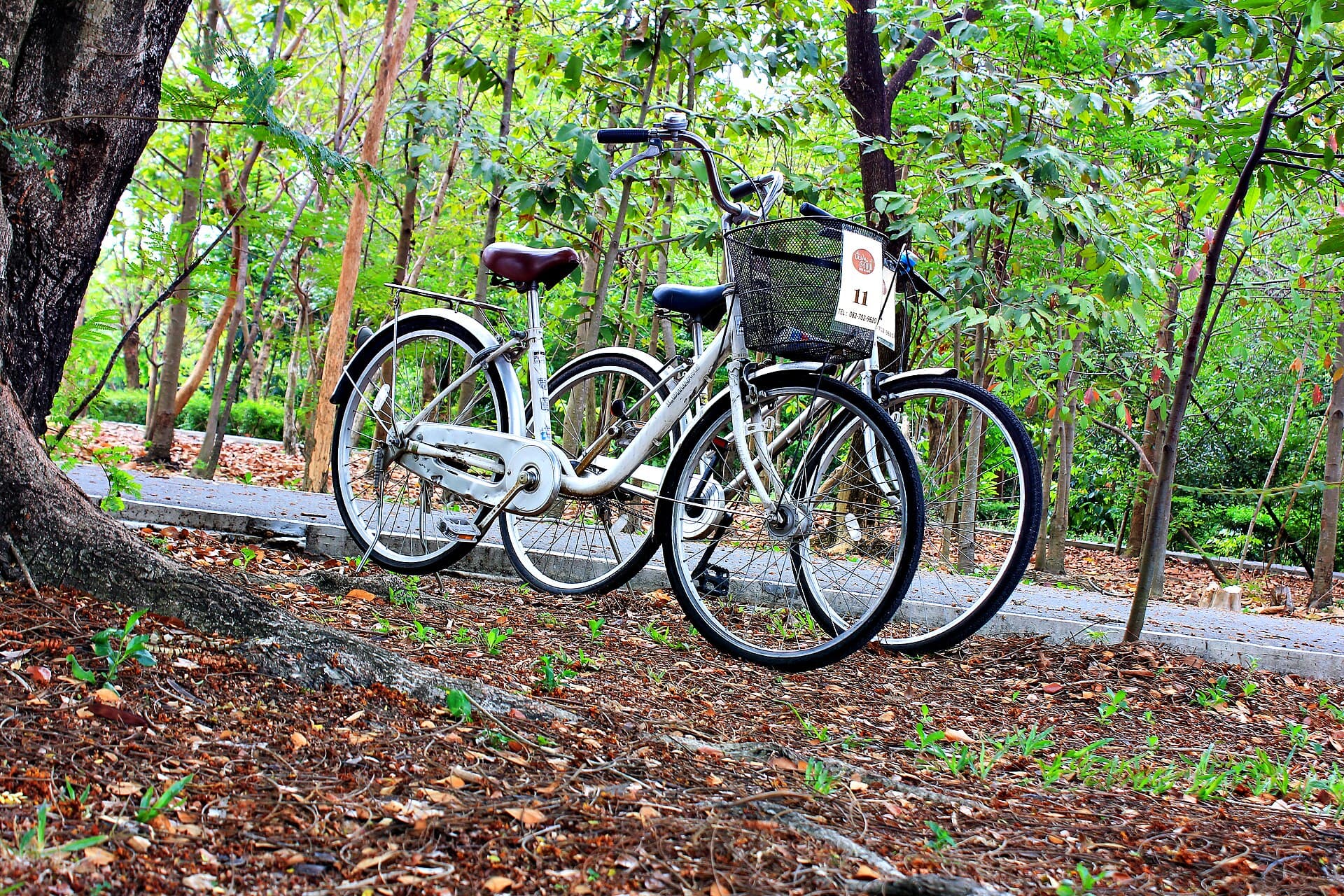 Bang Krachao (Bangkok's Green Lung), Samut Prakan