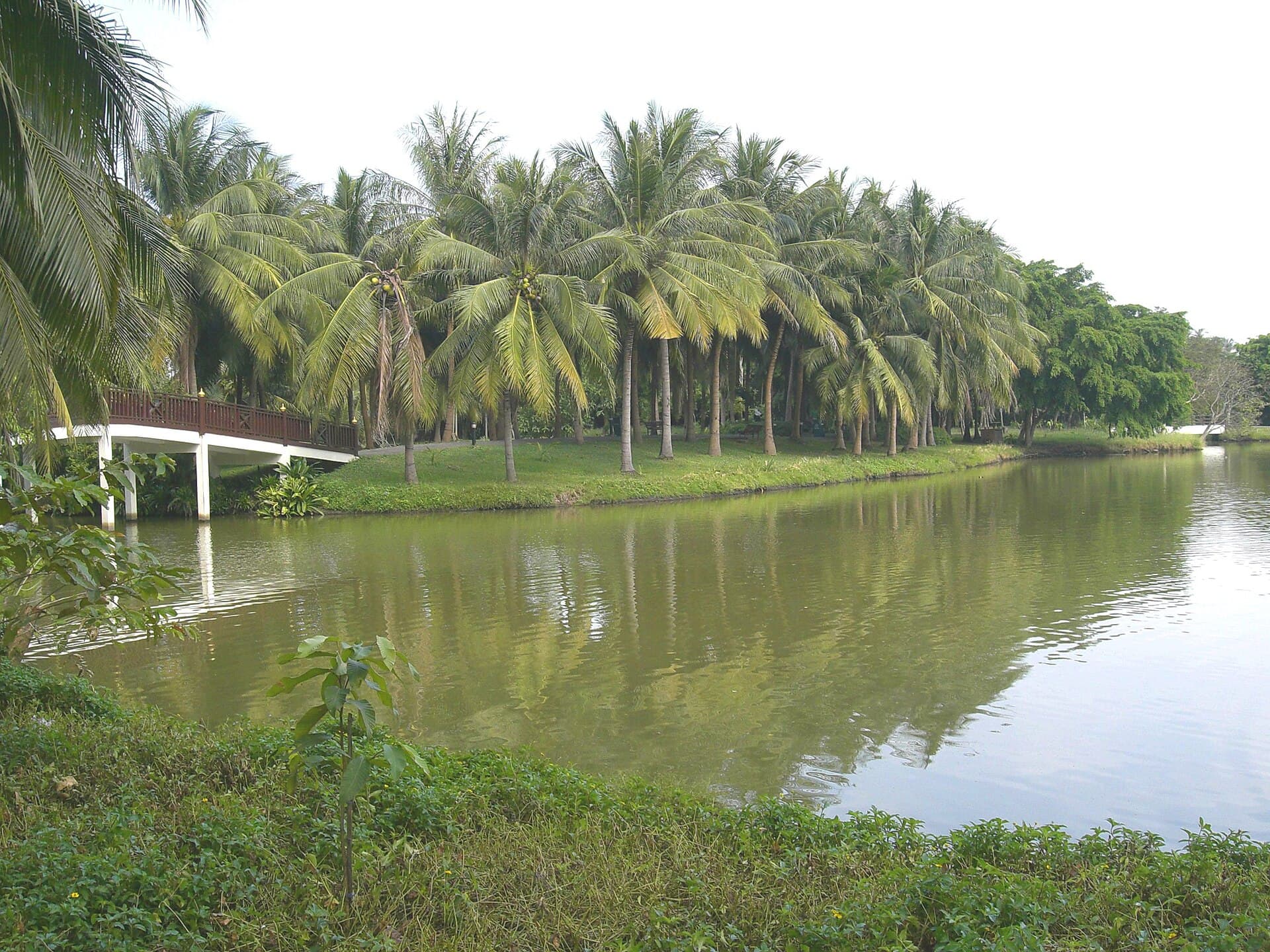 Bang Krachao (Bangkok's Green Lung), Samut Prakan