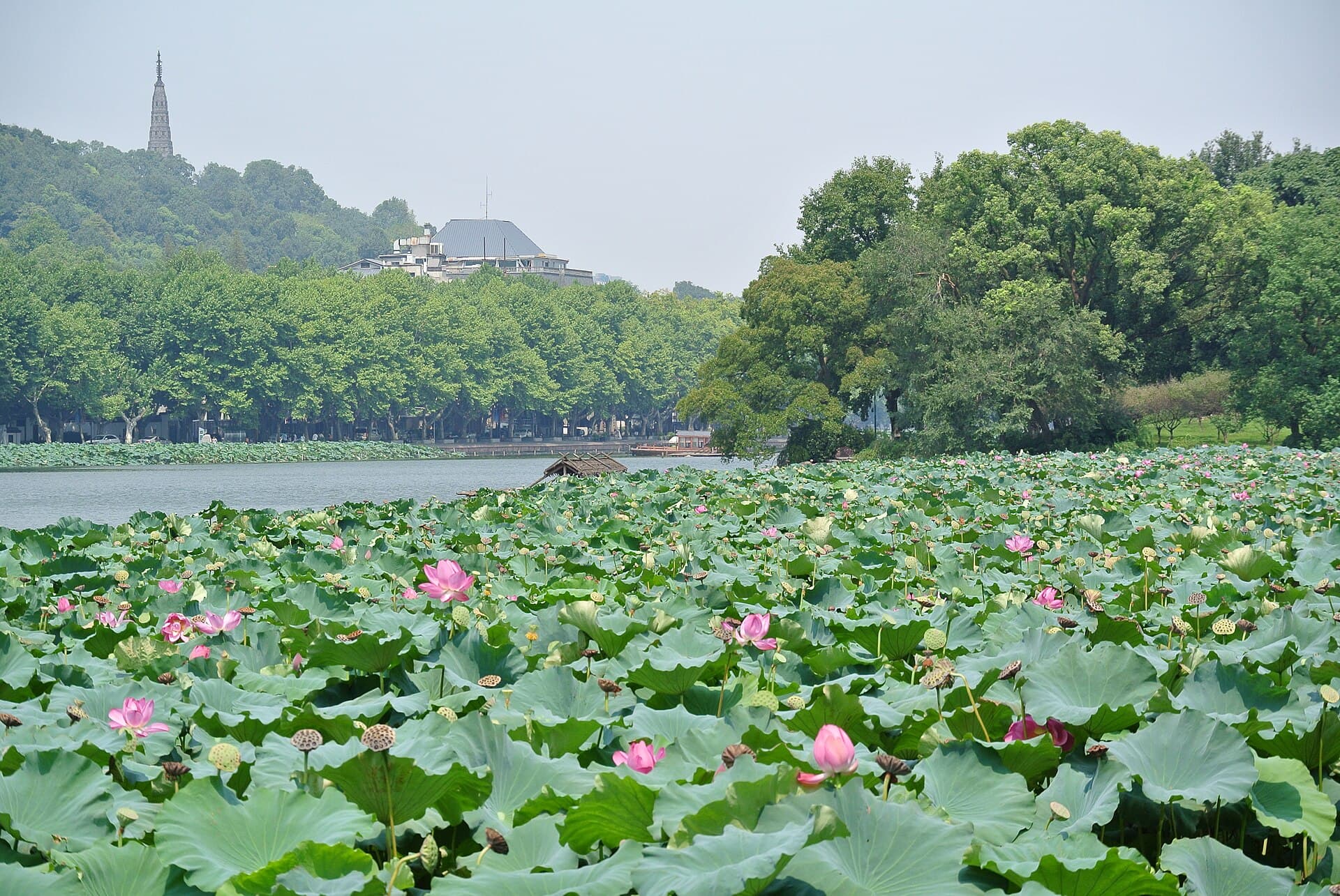 Baochu Pagoda