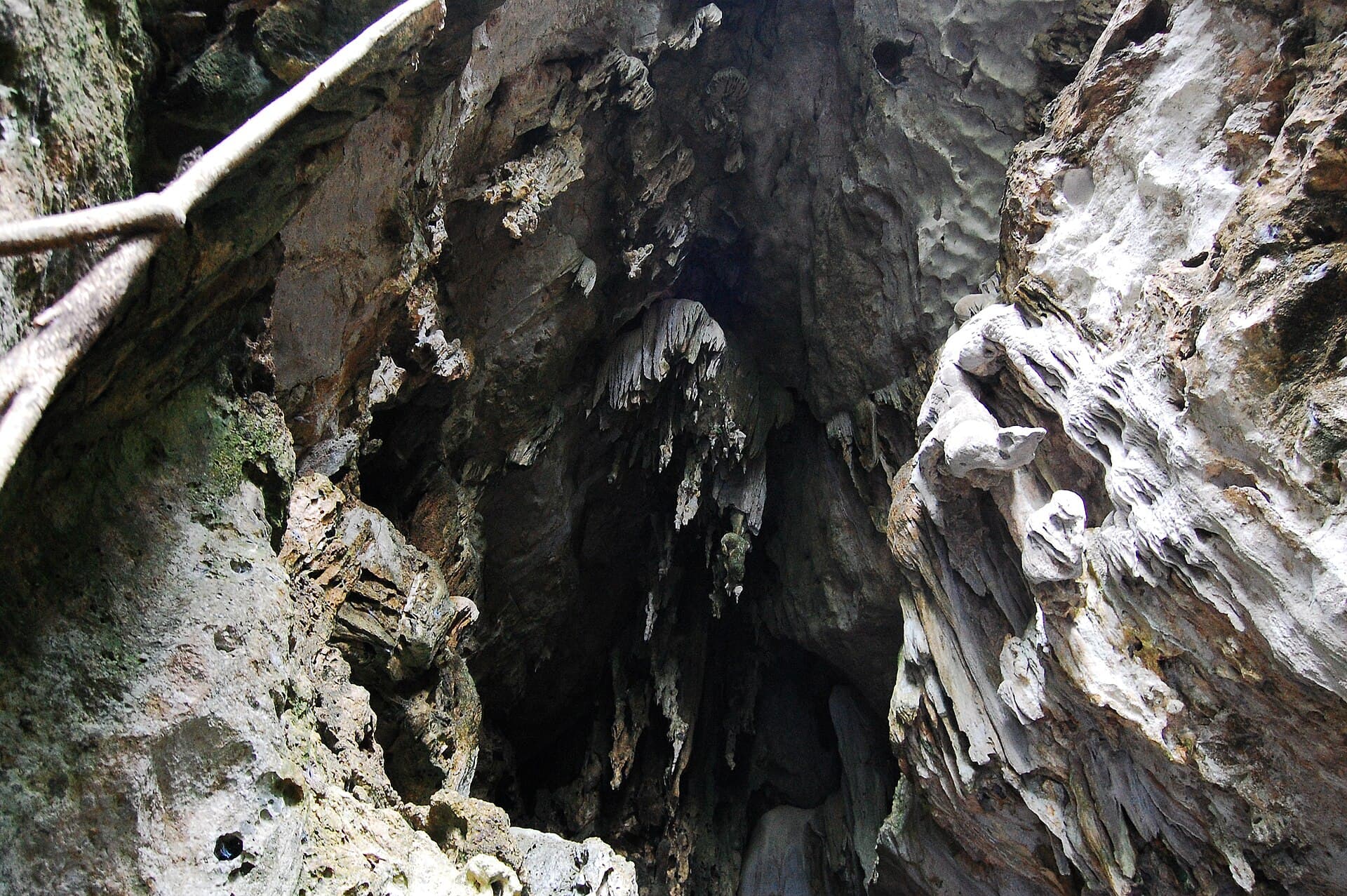 Barton Creek Cave