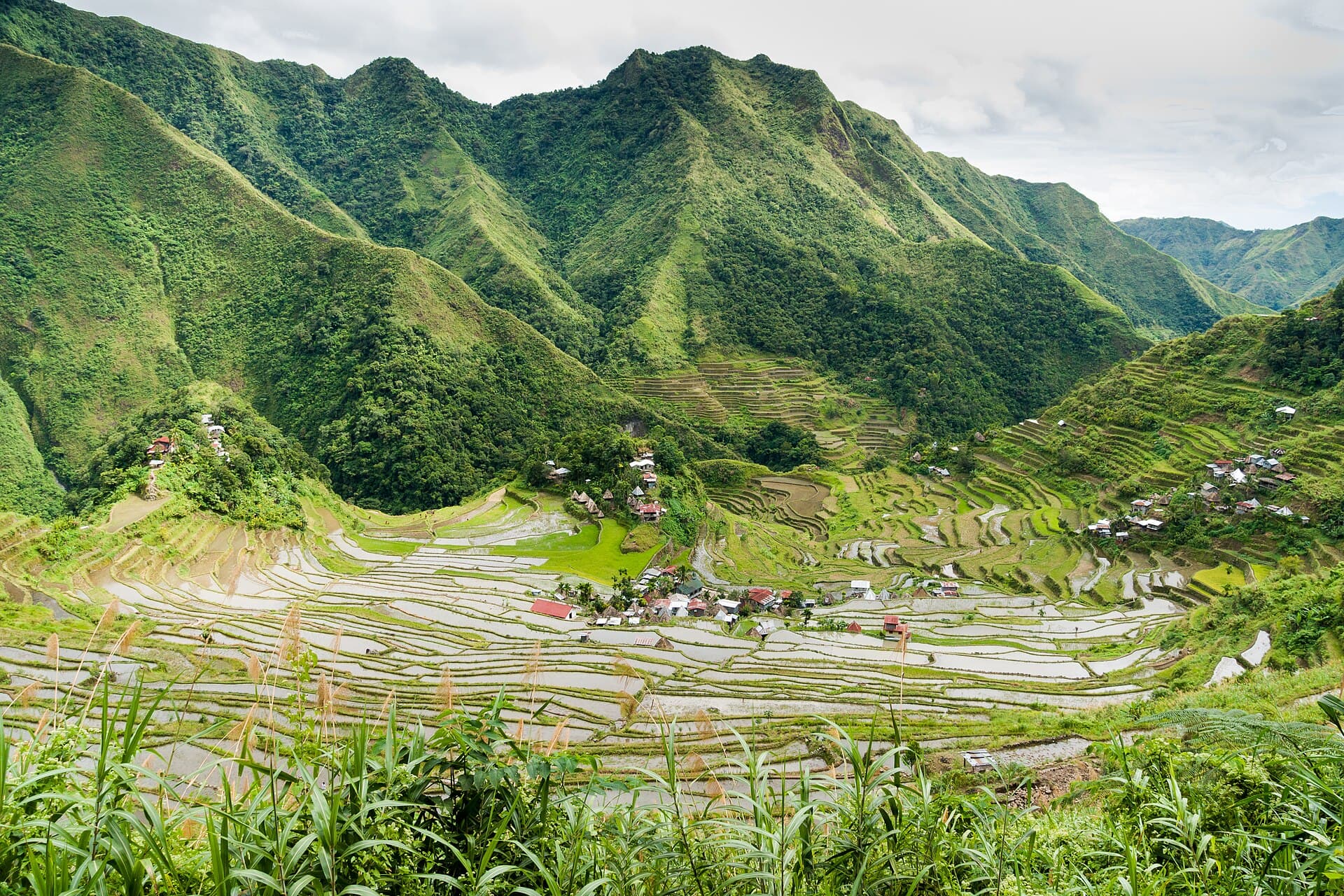 Batad Rice Terraces