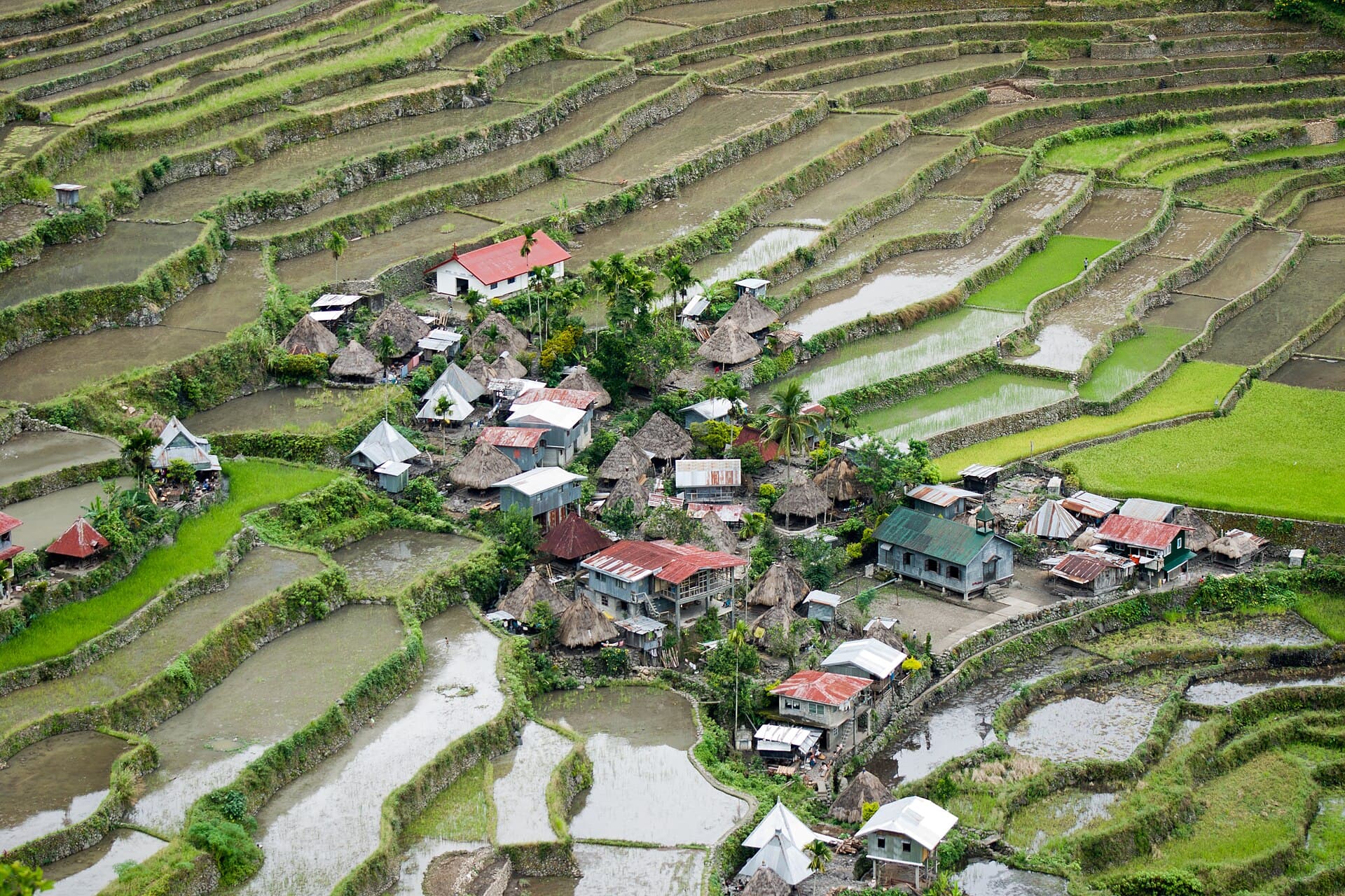 Batad Rice Terraces