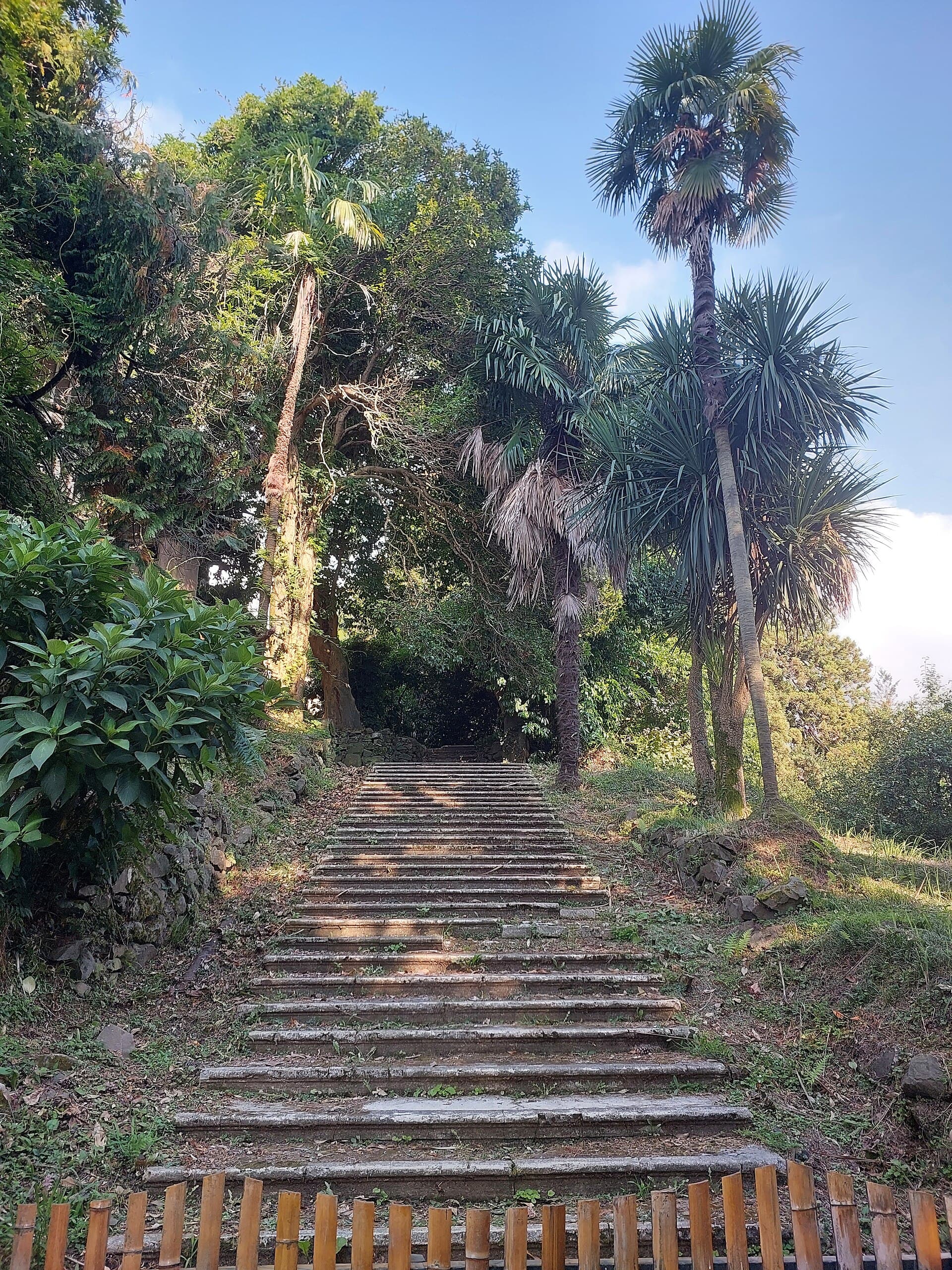 Batumi Botanical Garden
